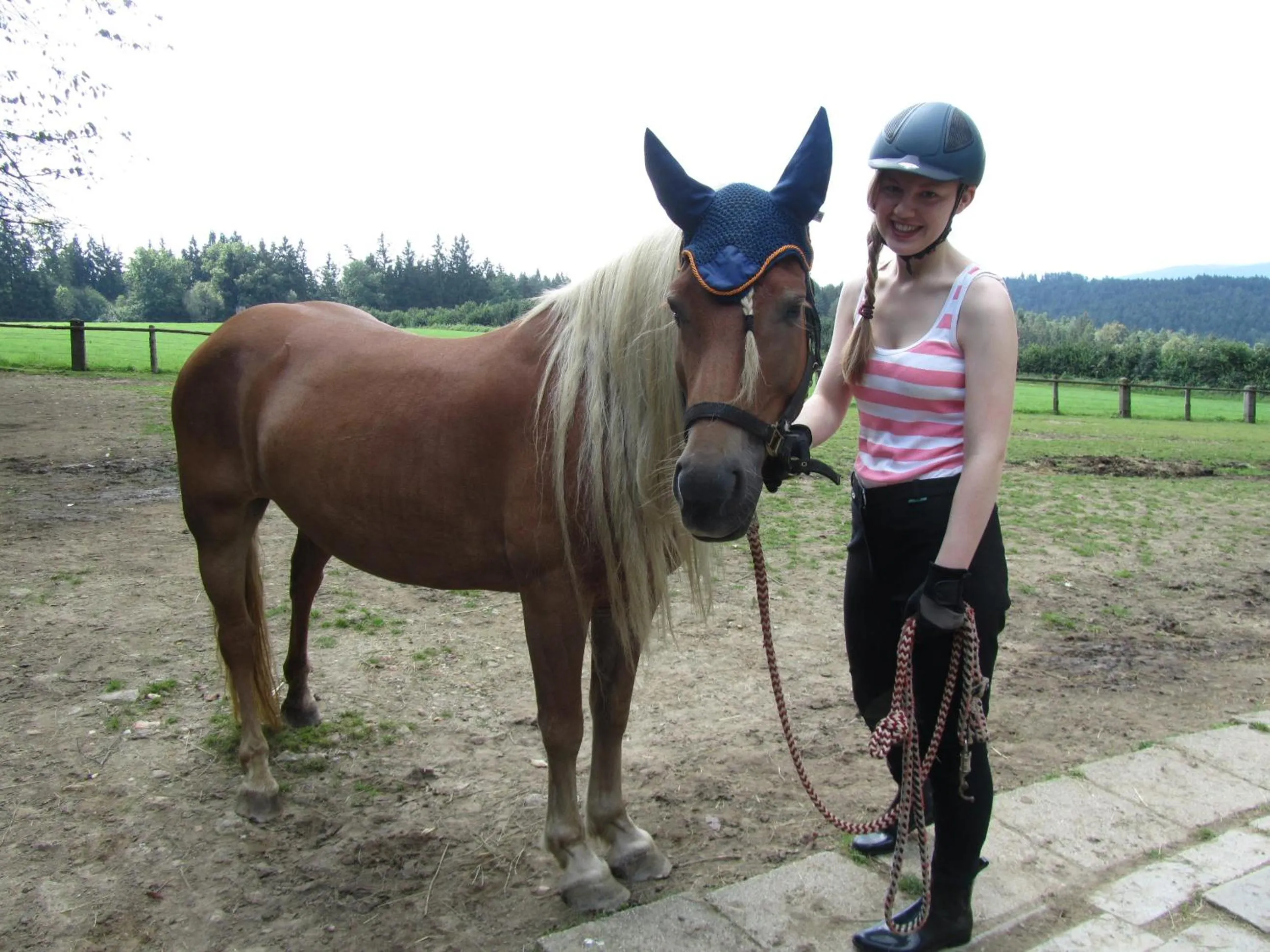 Horse-riding in Ferienhaus Zopfhäusl