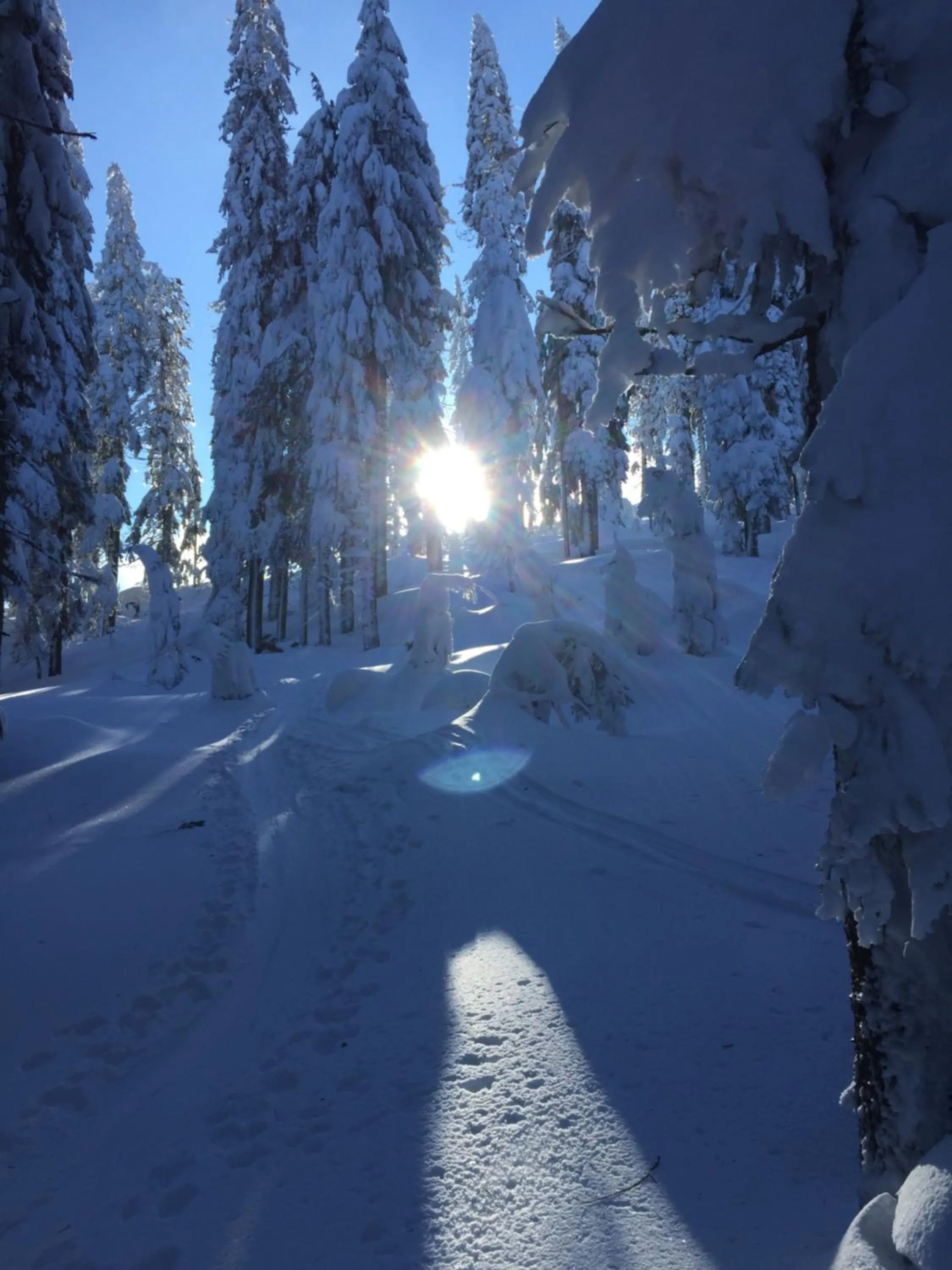 Winter in Ferienhaus Zopfhäusl