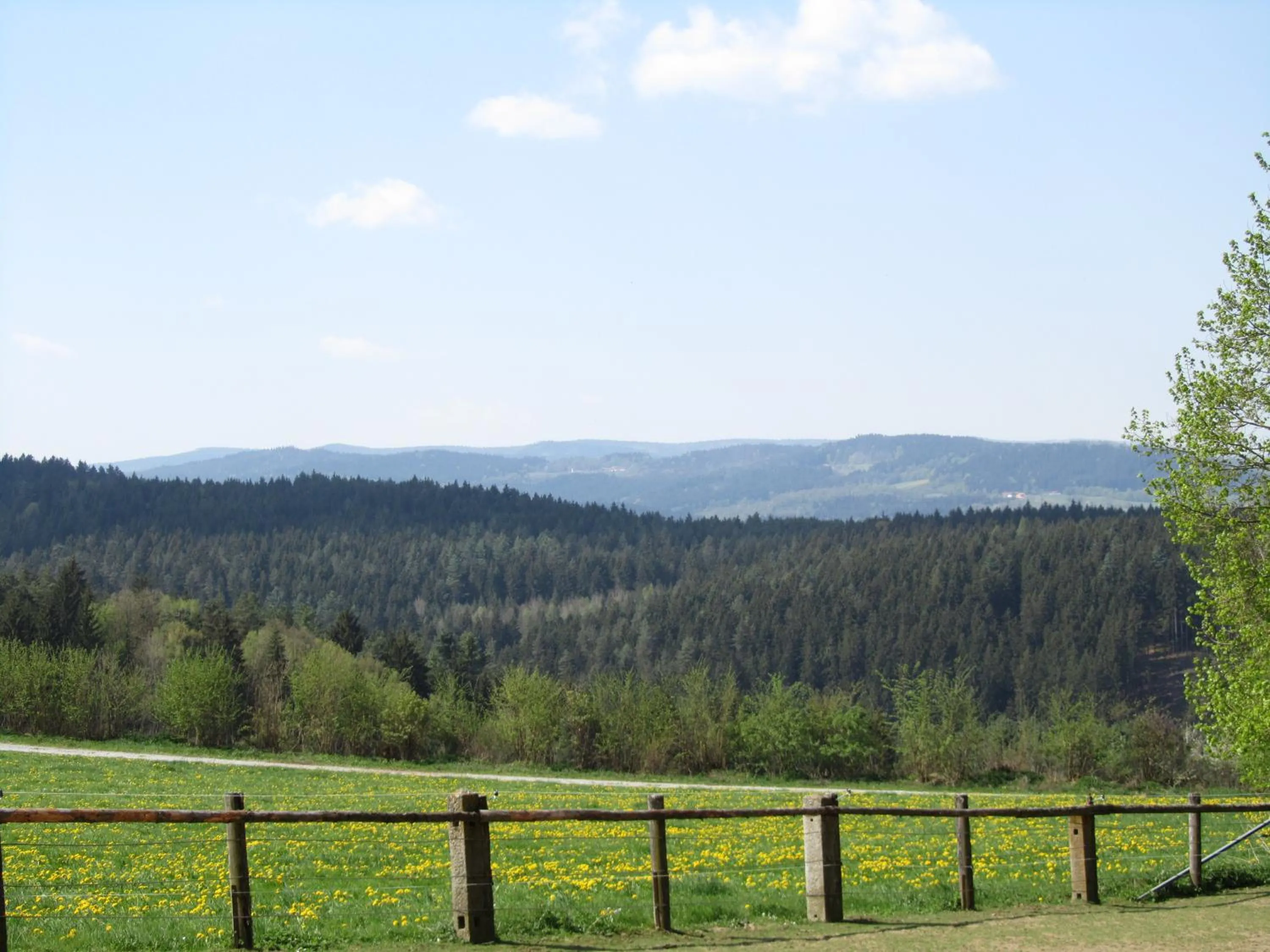 Spring in Ferienhaus Zopfhäusl