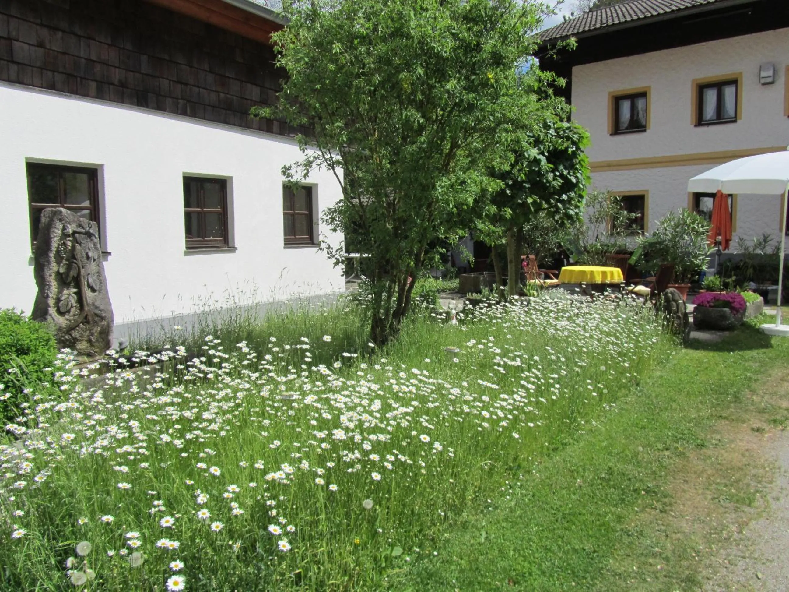 On site in Ferienhaus Zopfhäusl