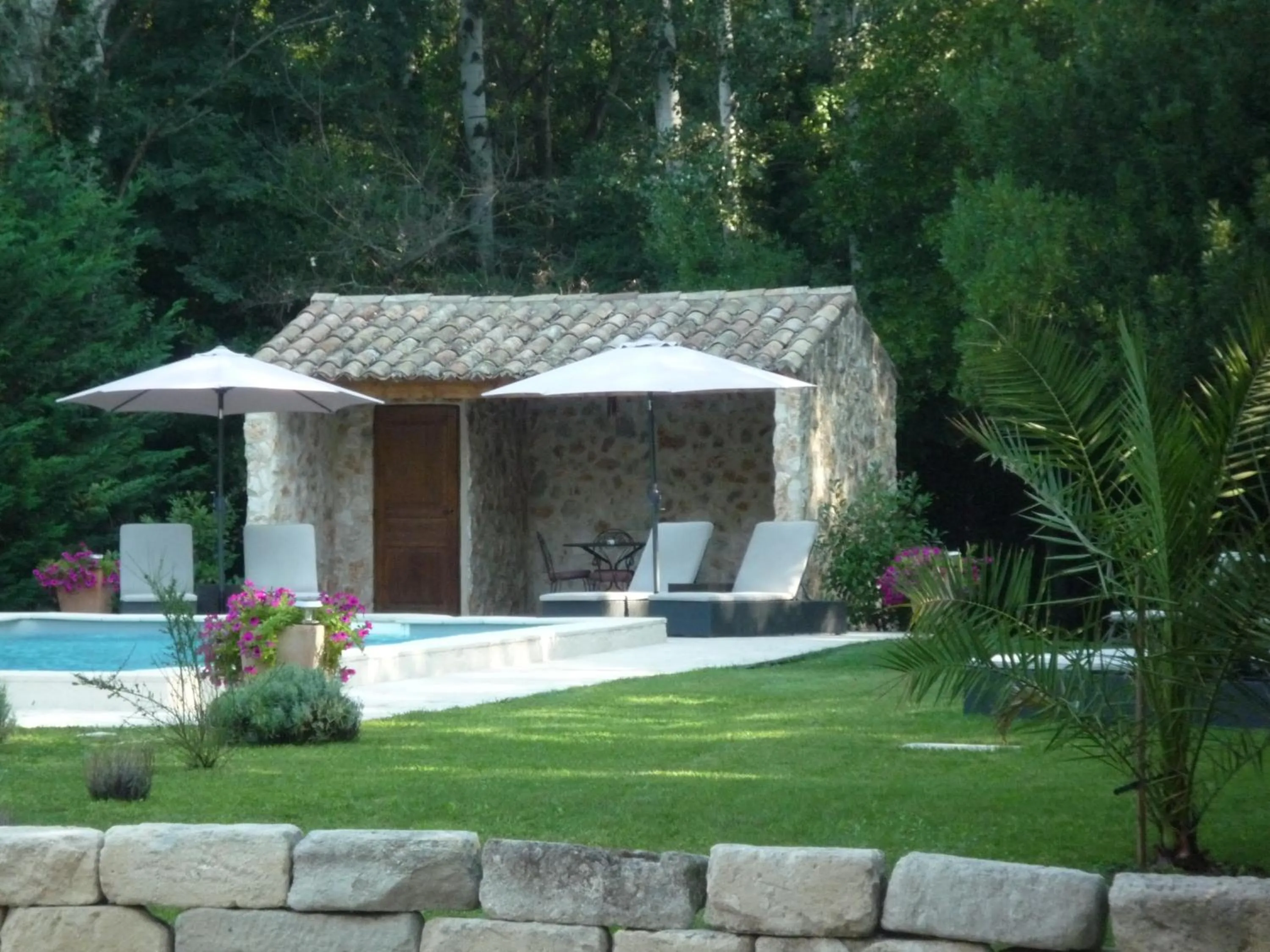 Pool view in Mas de l'ile