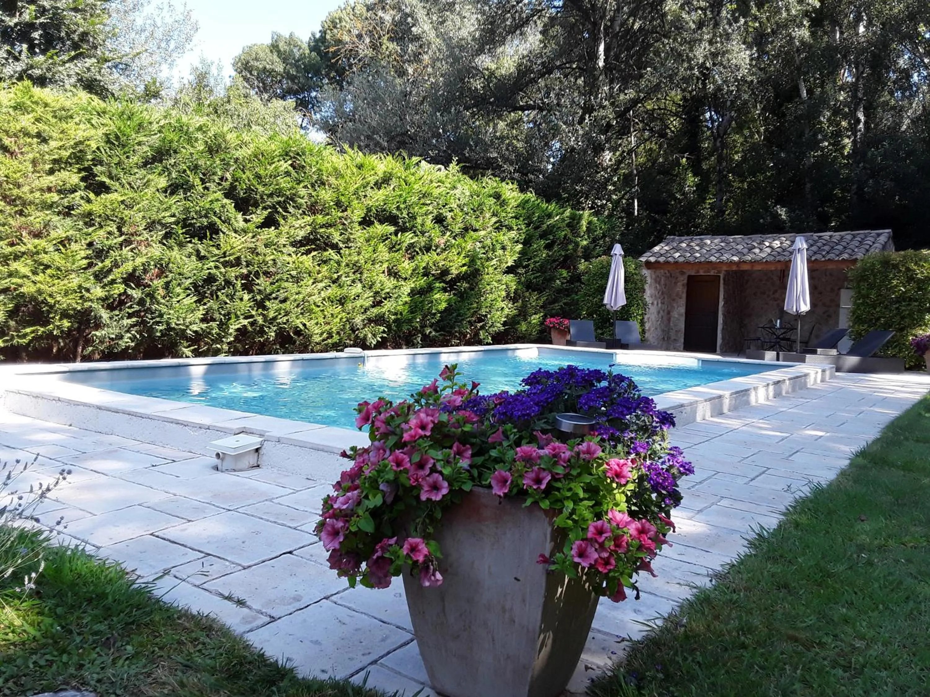 Swimming pool in Mas de l'ile