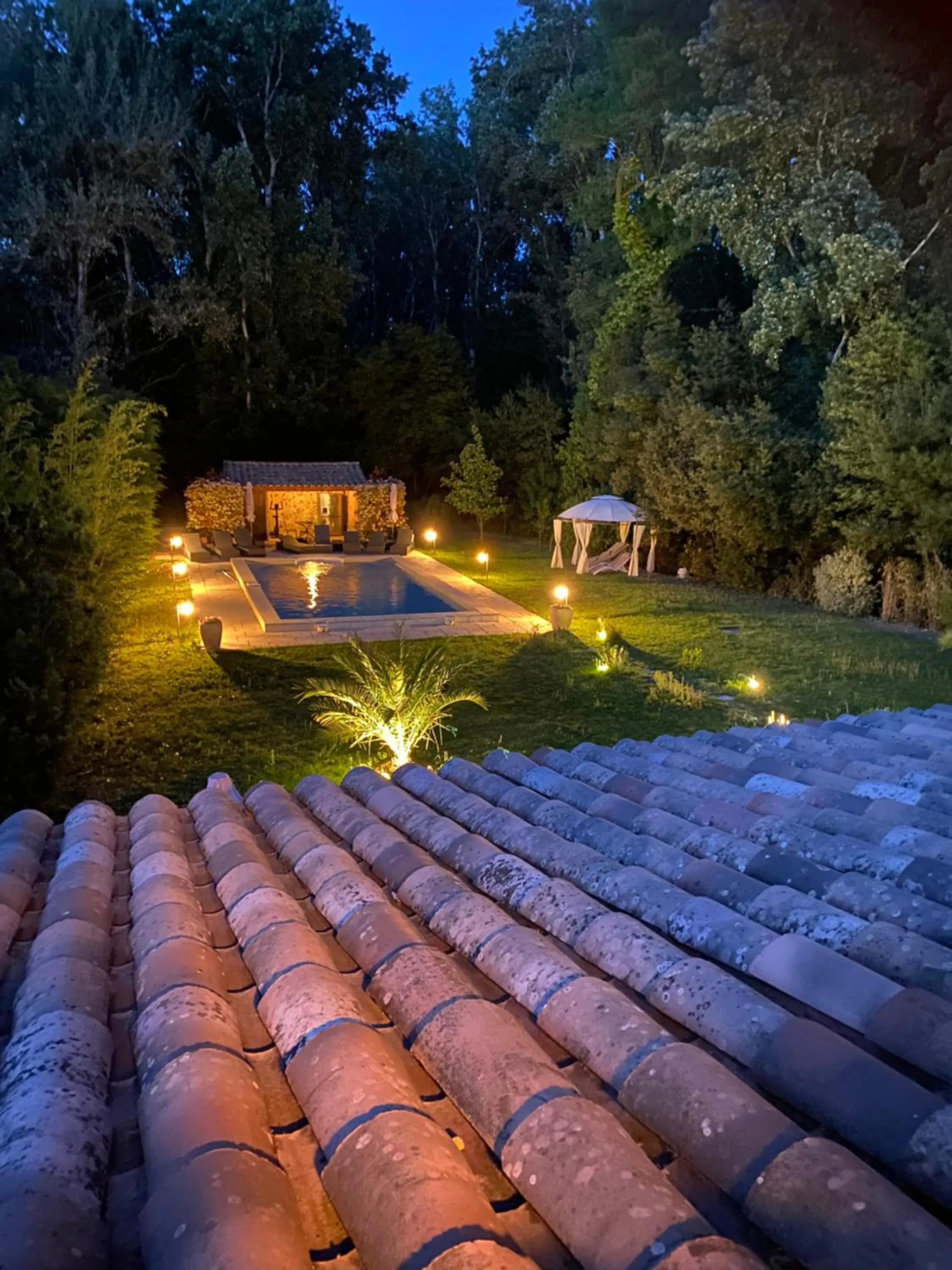 Swimming pool in Mas de l'ile