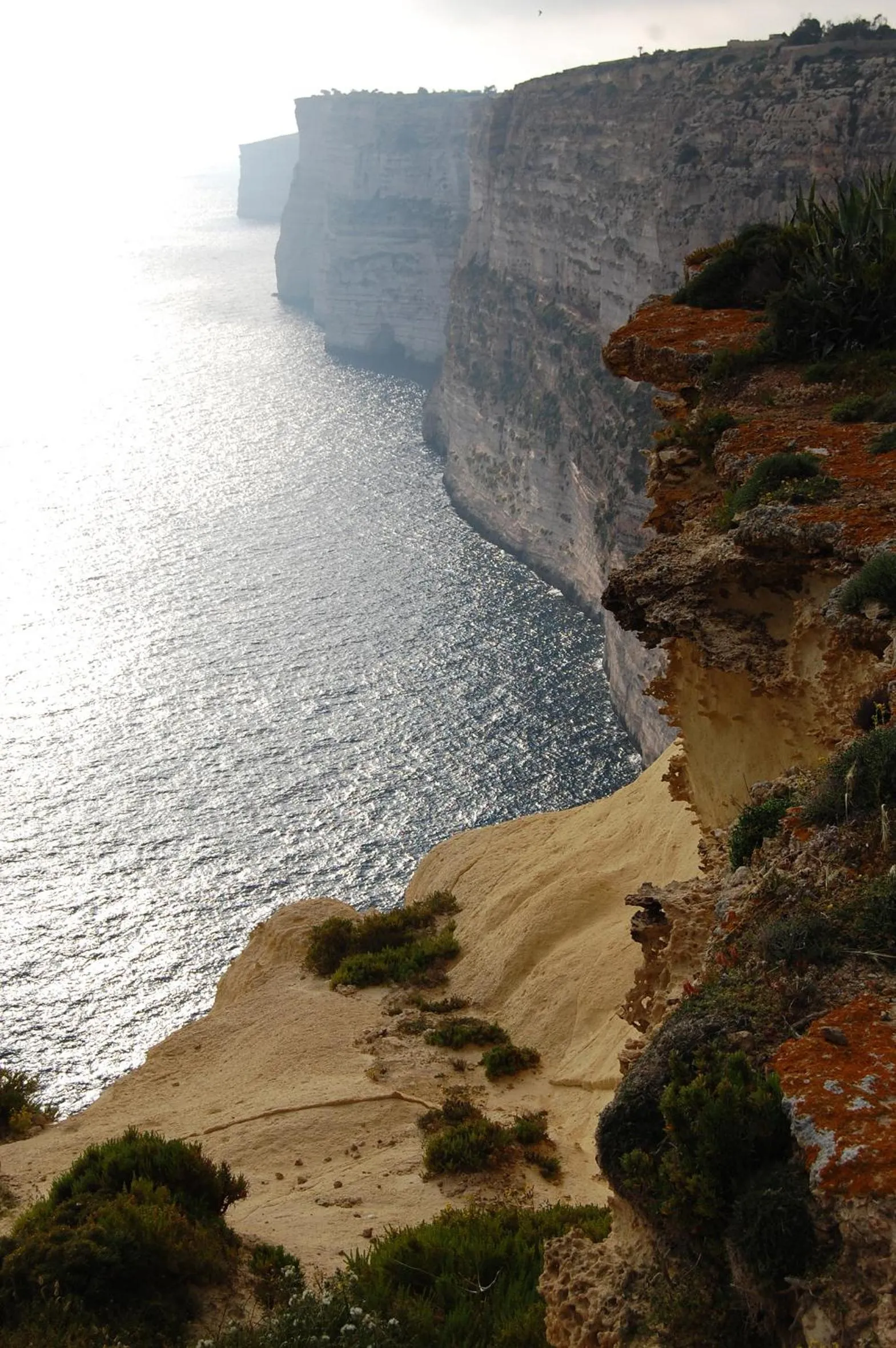 Natural landscape in Mood Farmhouse Mythology