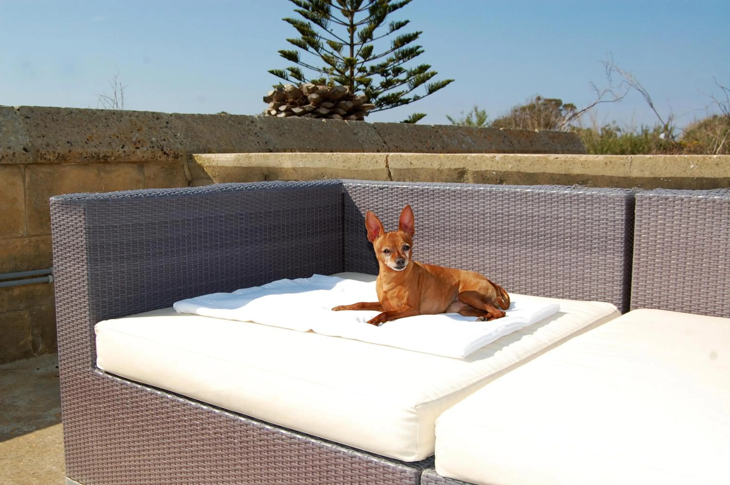 Patio in Mood Farmhouse Mythology