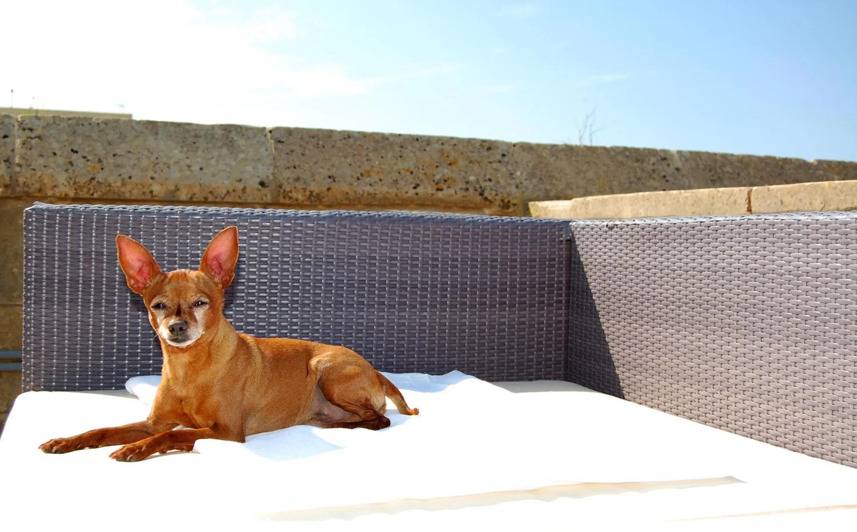 Patio in Mood Farmhouse Mythology