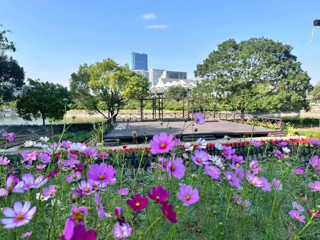 NCC Garden Villas - NCC Hotel