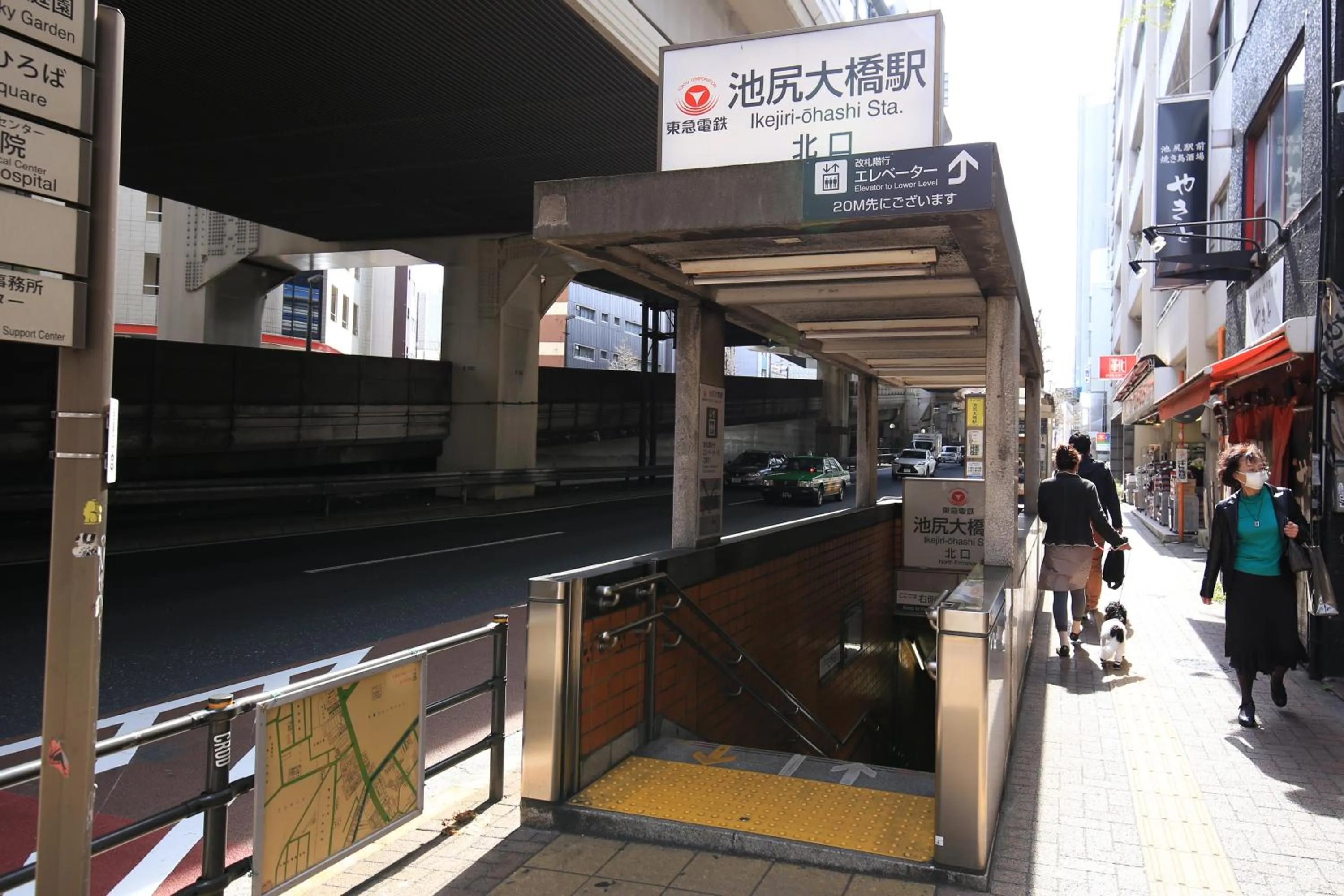Area and facilities in Wise Owl Hostels Shibuya