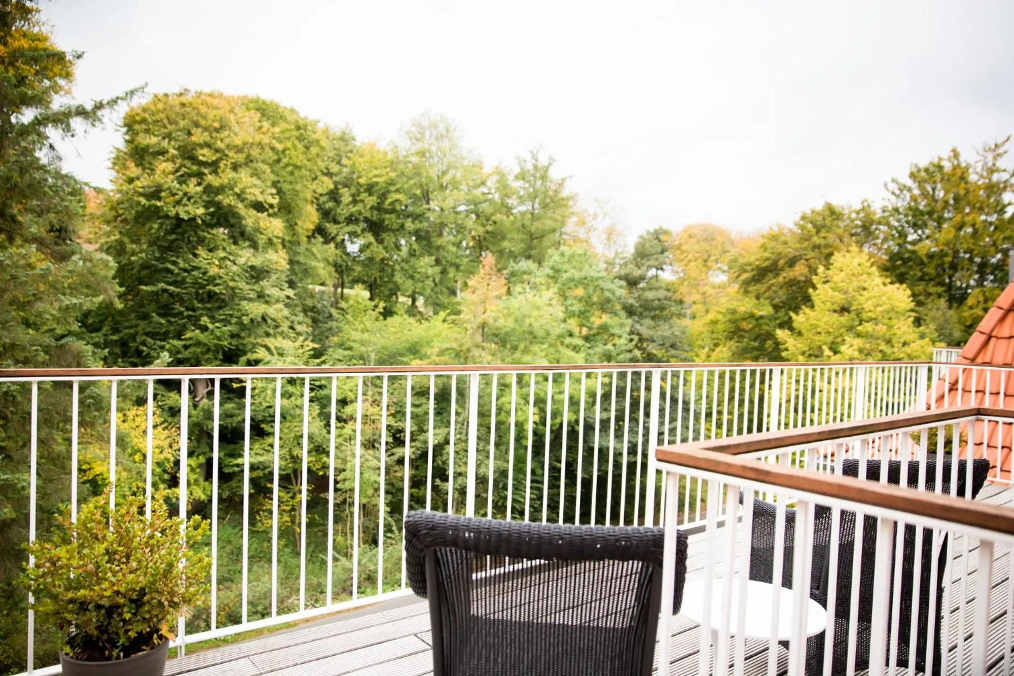 View (from property/room) in Comwell Kellers Park