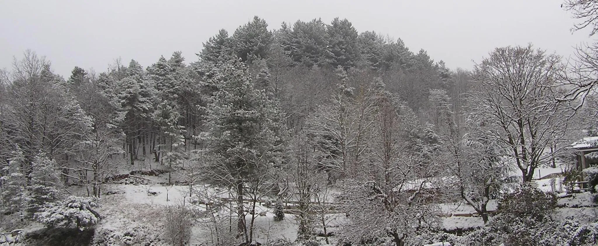Other in Albergo Villa Margherita