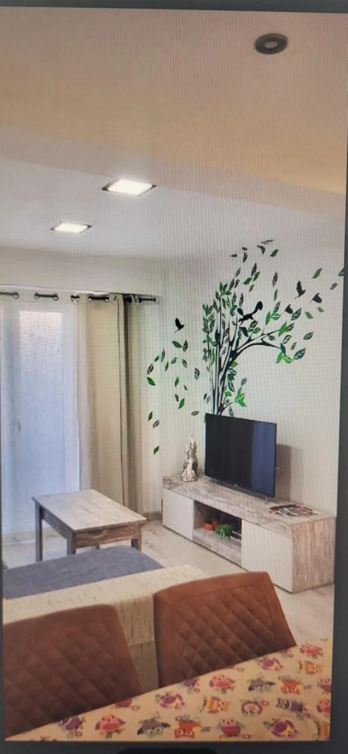 Apartamento Jardín de Ayora