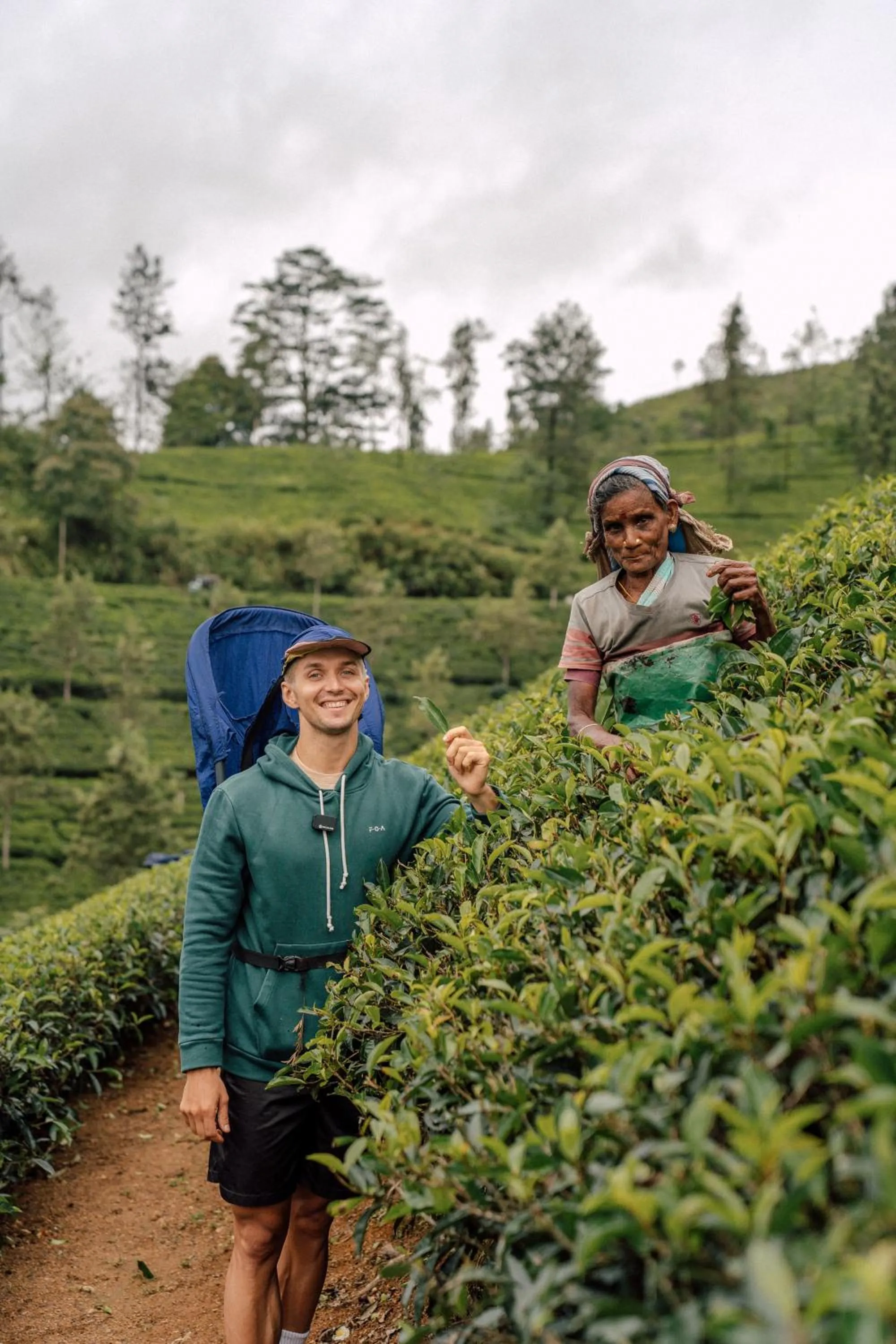 On site in The Farm Resorts