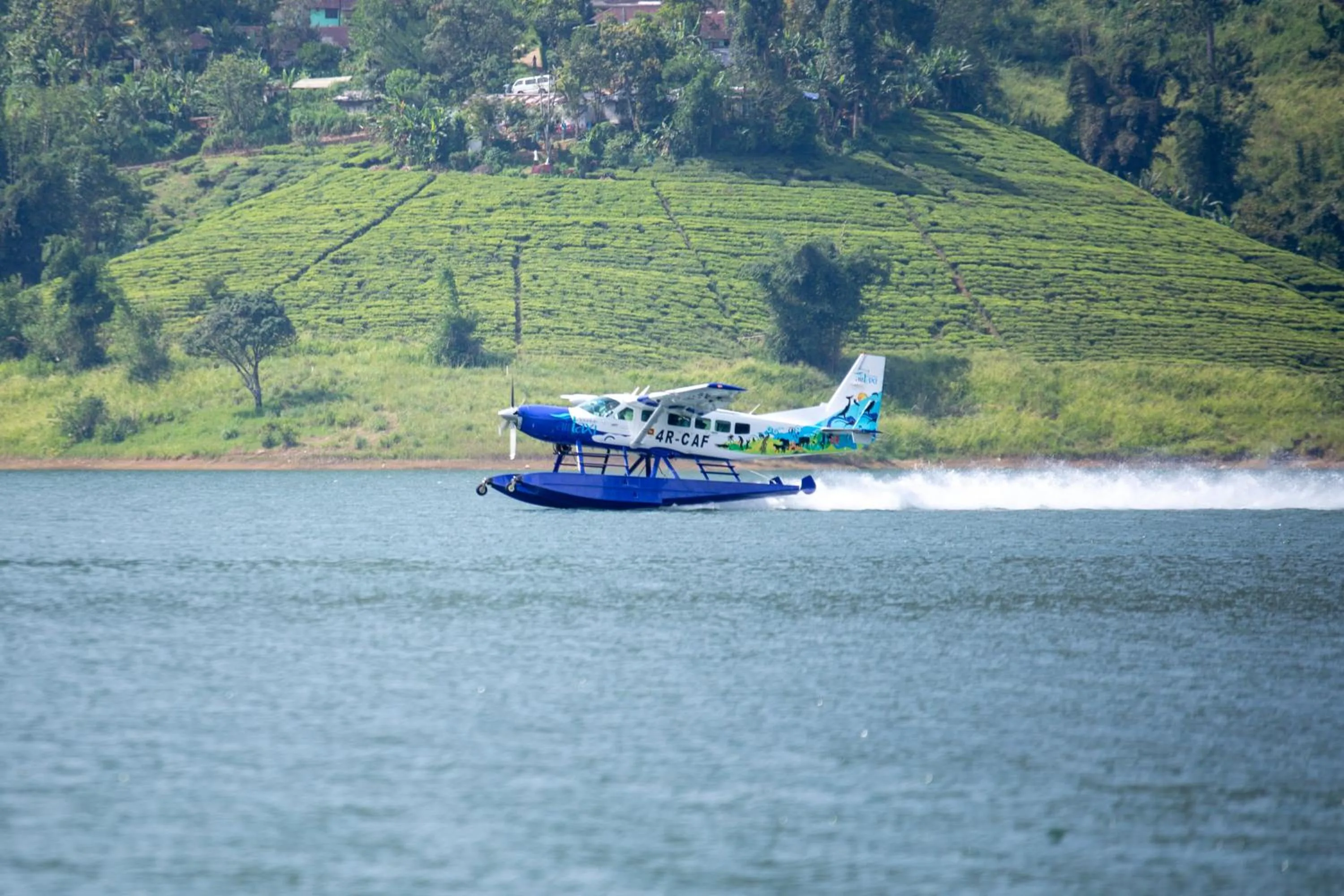 Natural landscape in The Farm Resorts