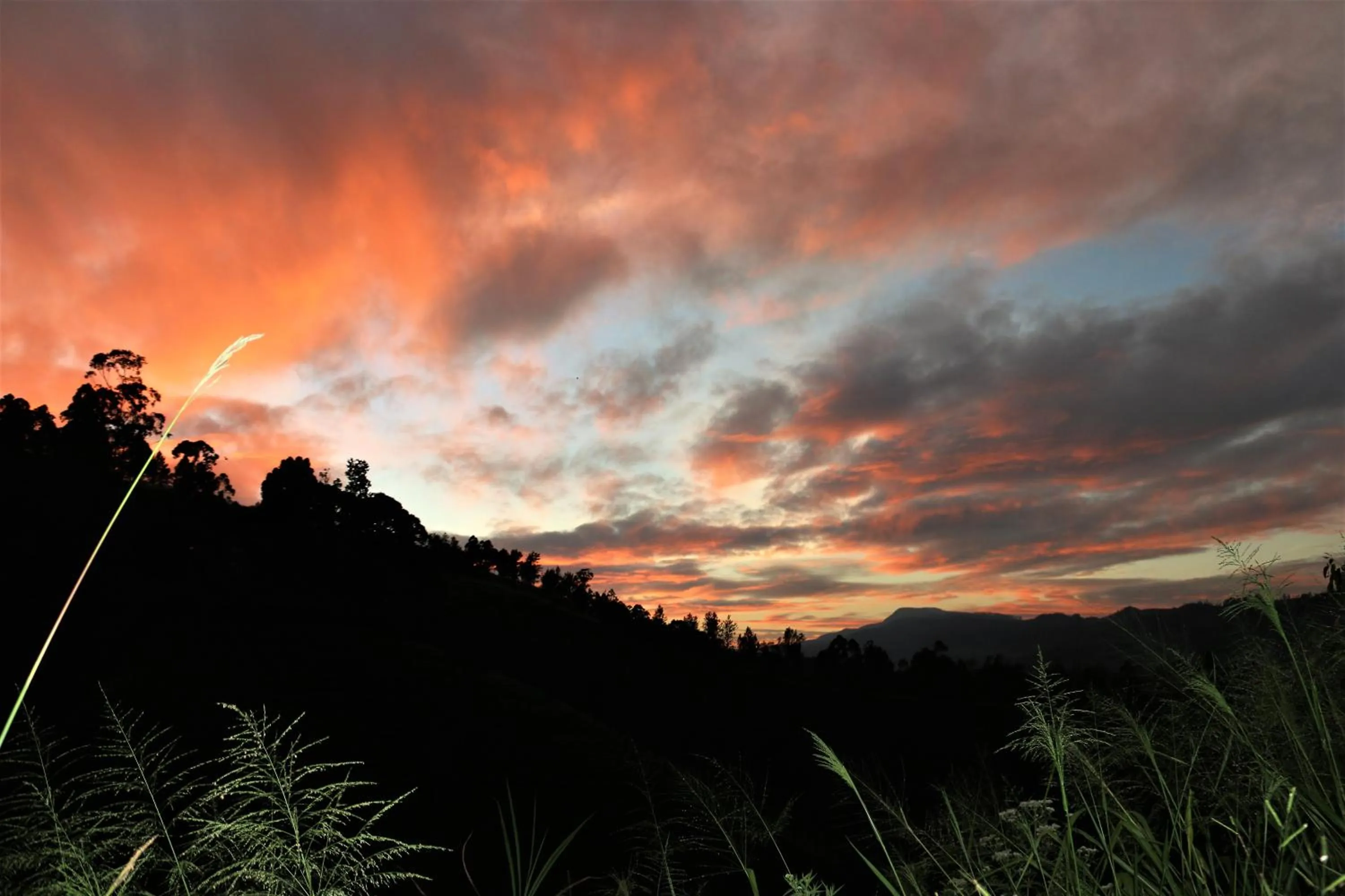 Natural landscape in The Farm Resorts