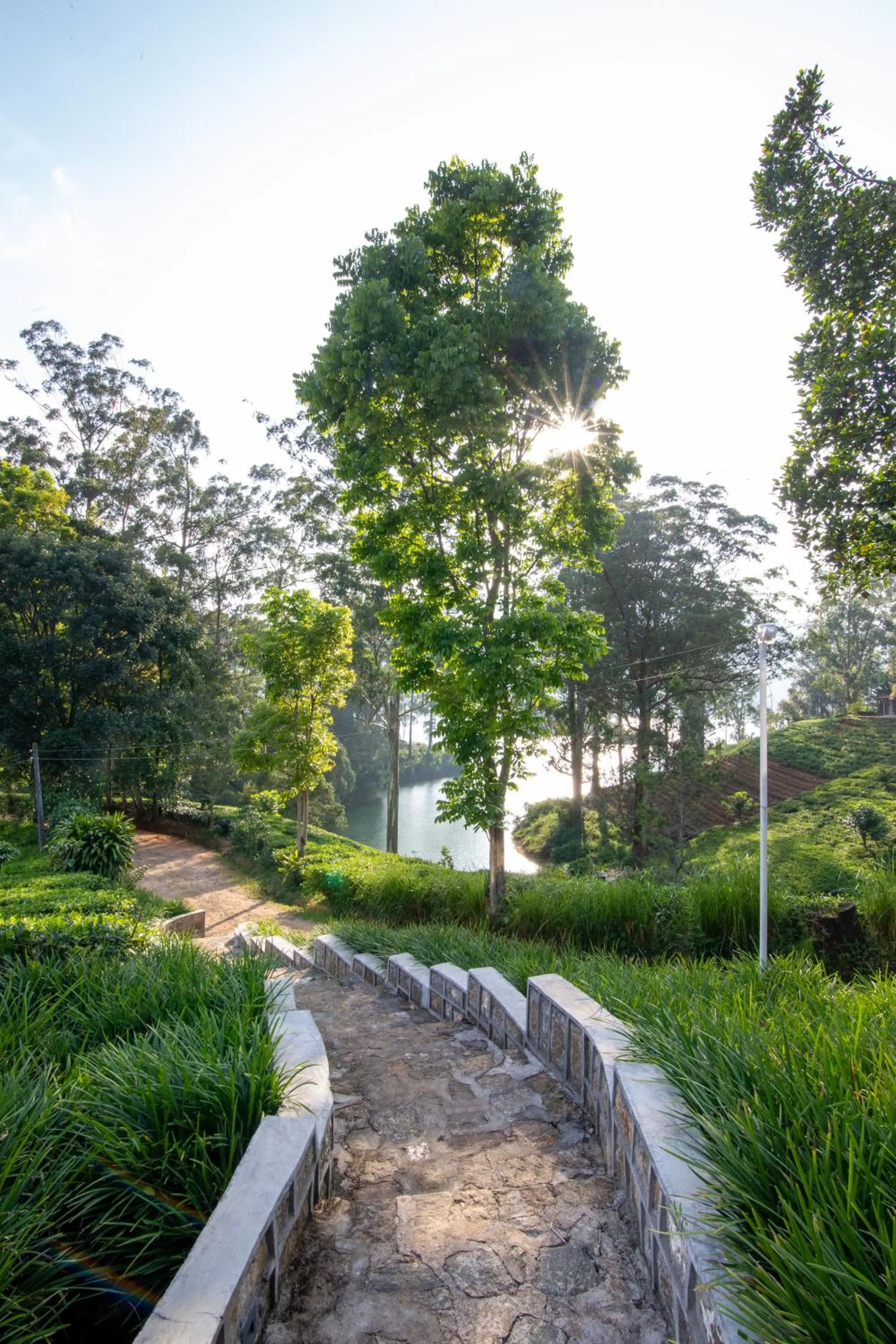 Day in The Farm Resorts