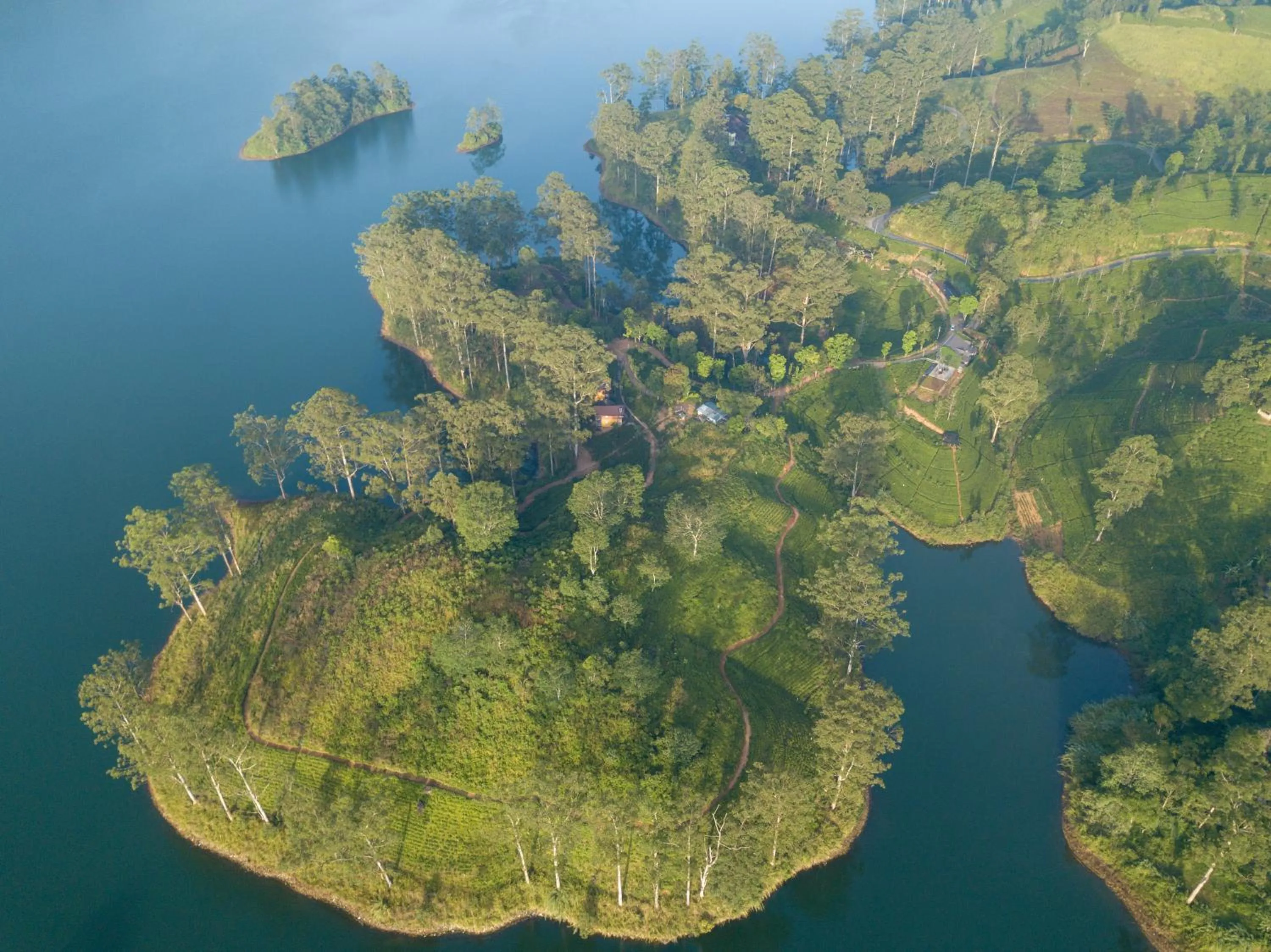 Natural landscape in The Farm Resorts