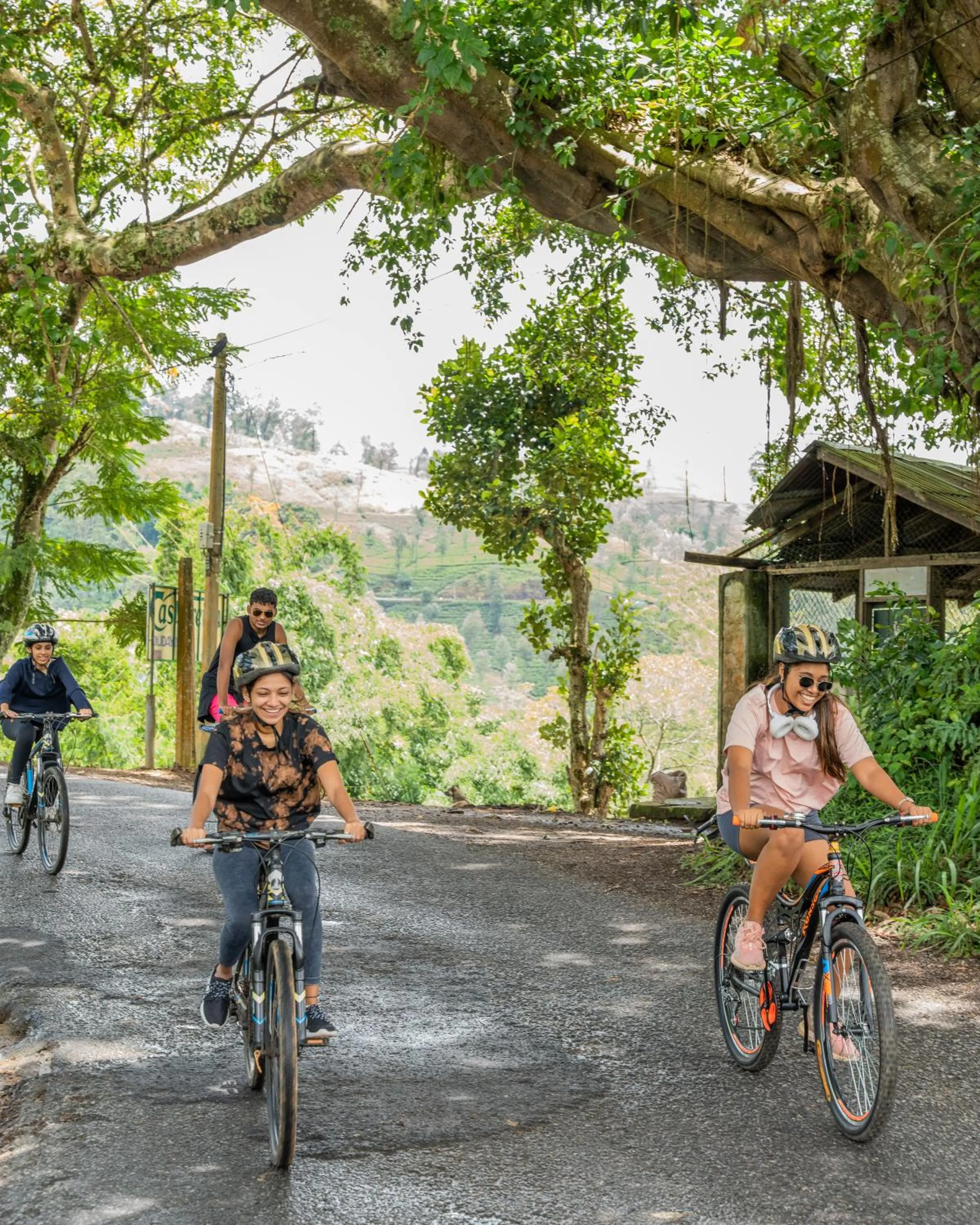 Cycling in The Farm Resorts