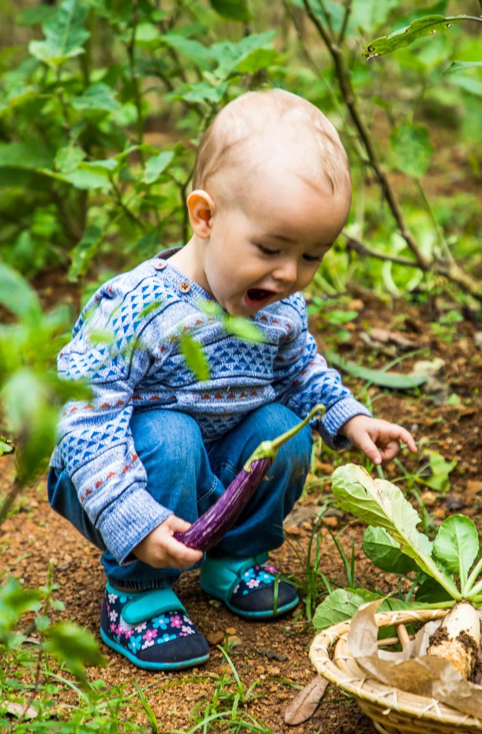 On site in The Farm Resorts