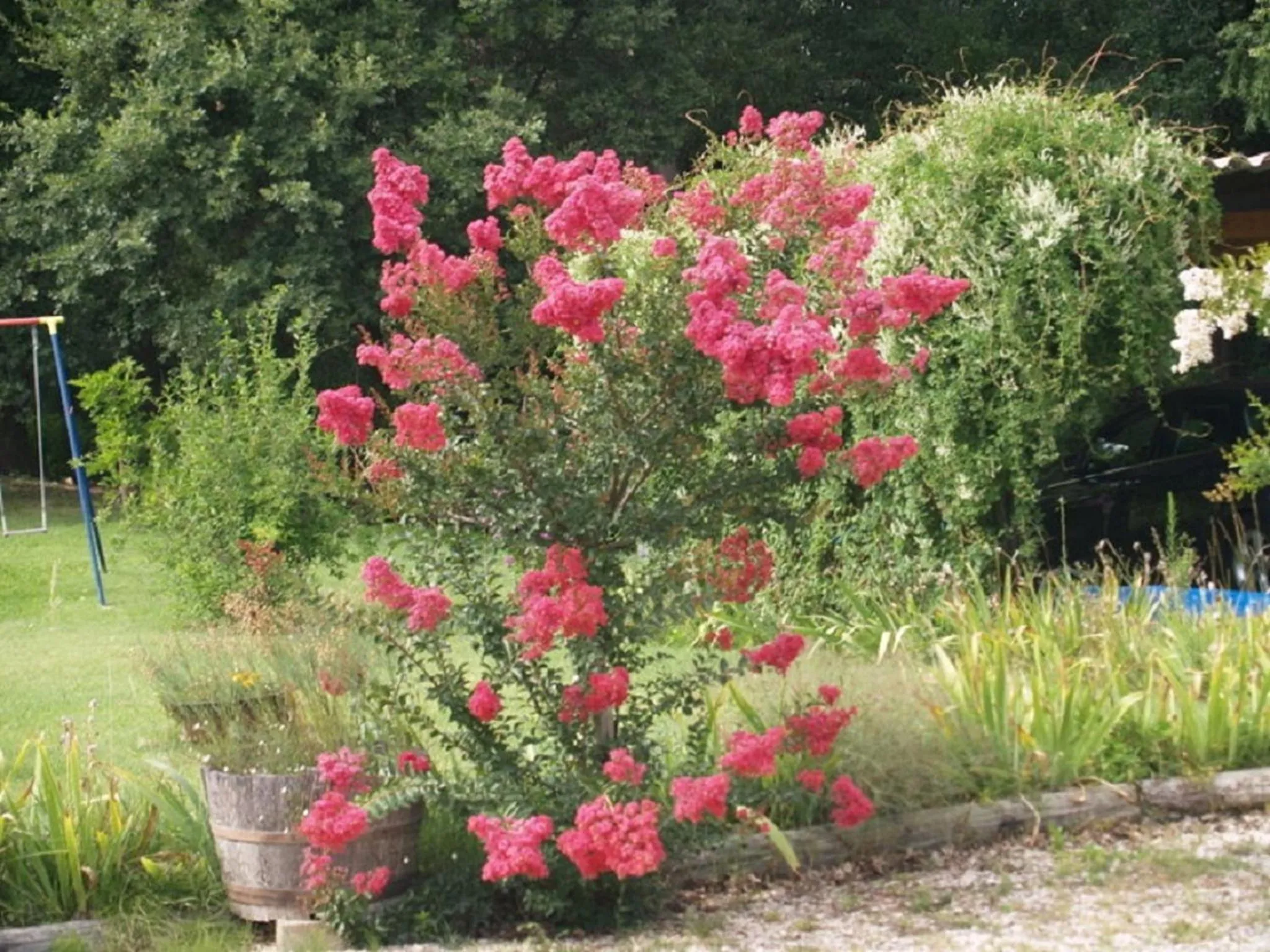 Garden in Le Rieufroid