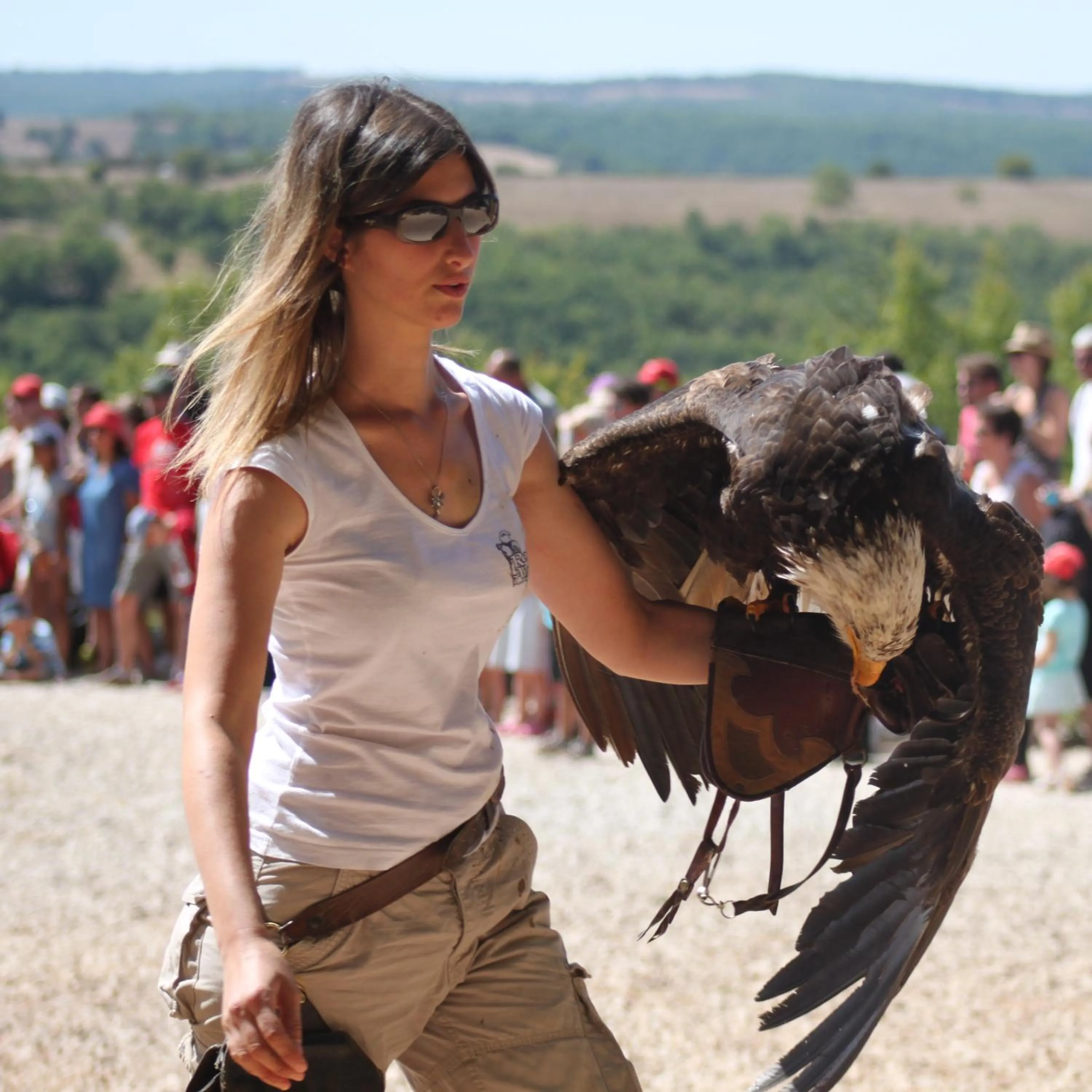 TV and multimedia in Excellent Sarlat