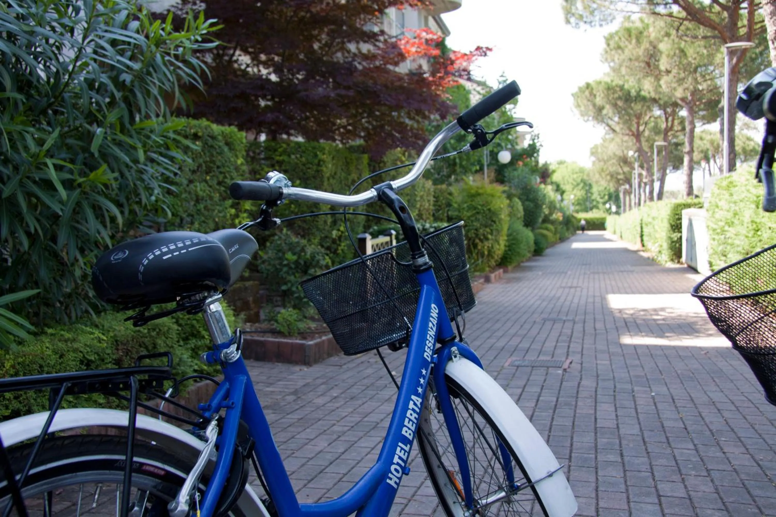 Cycling in Lauri & Faggi