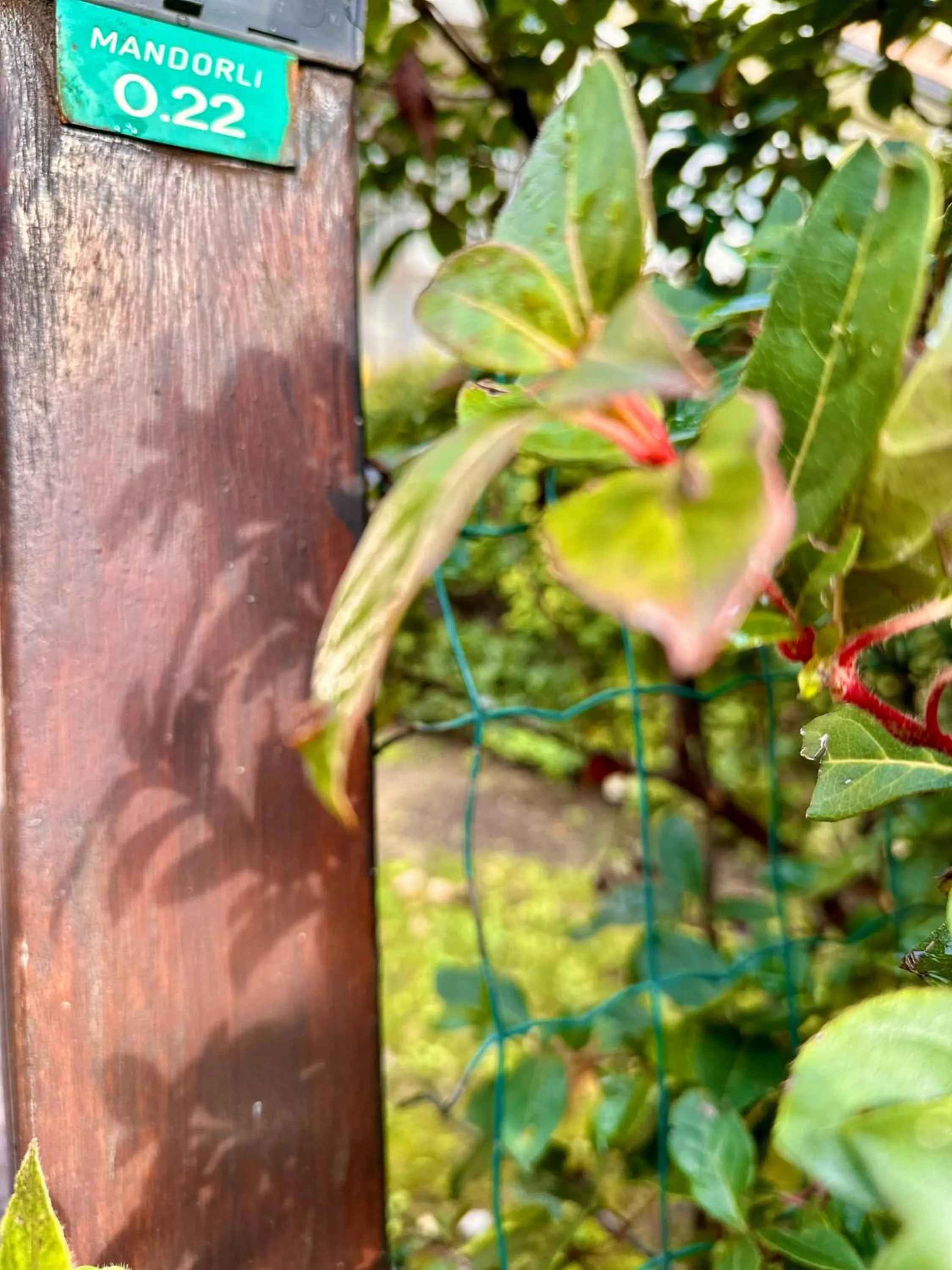 Garden view in Lauri & Faggi