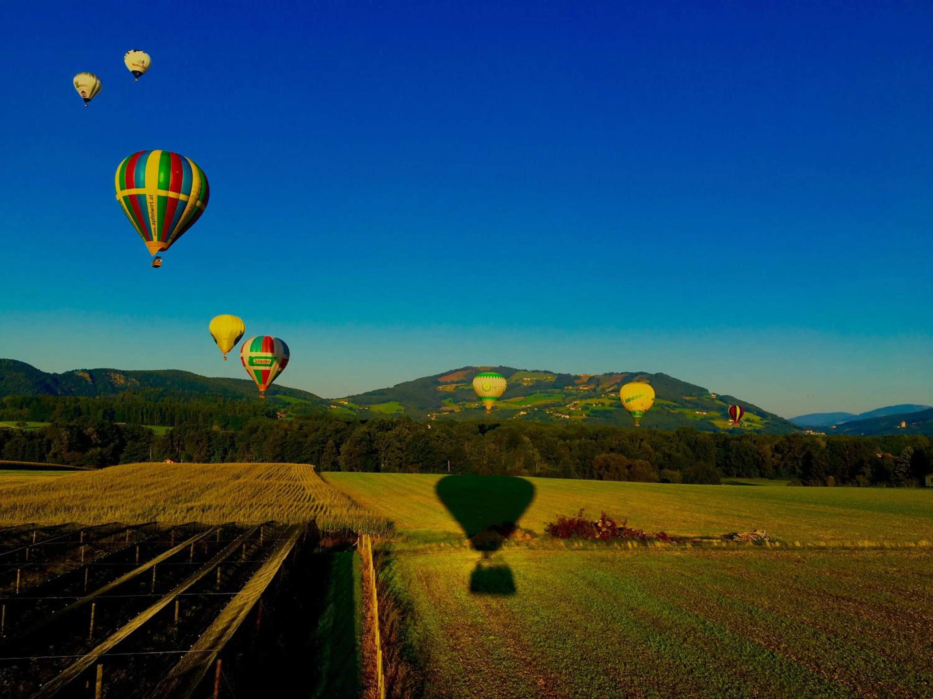 Activities in Apfelwirt