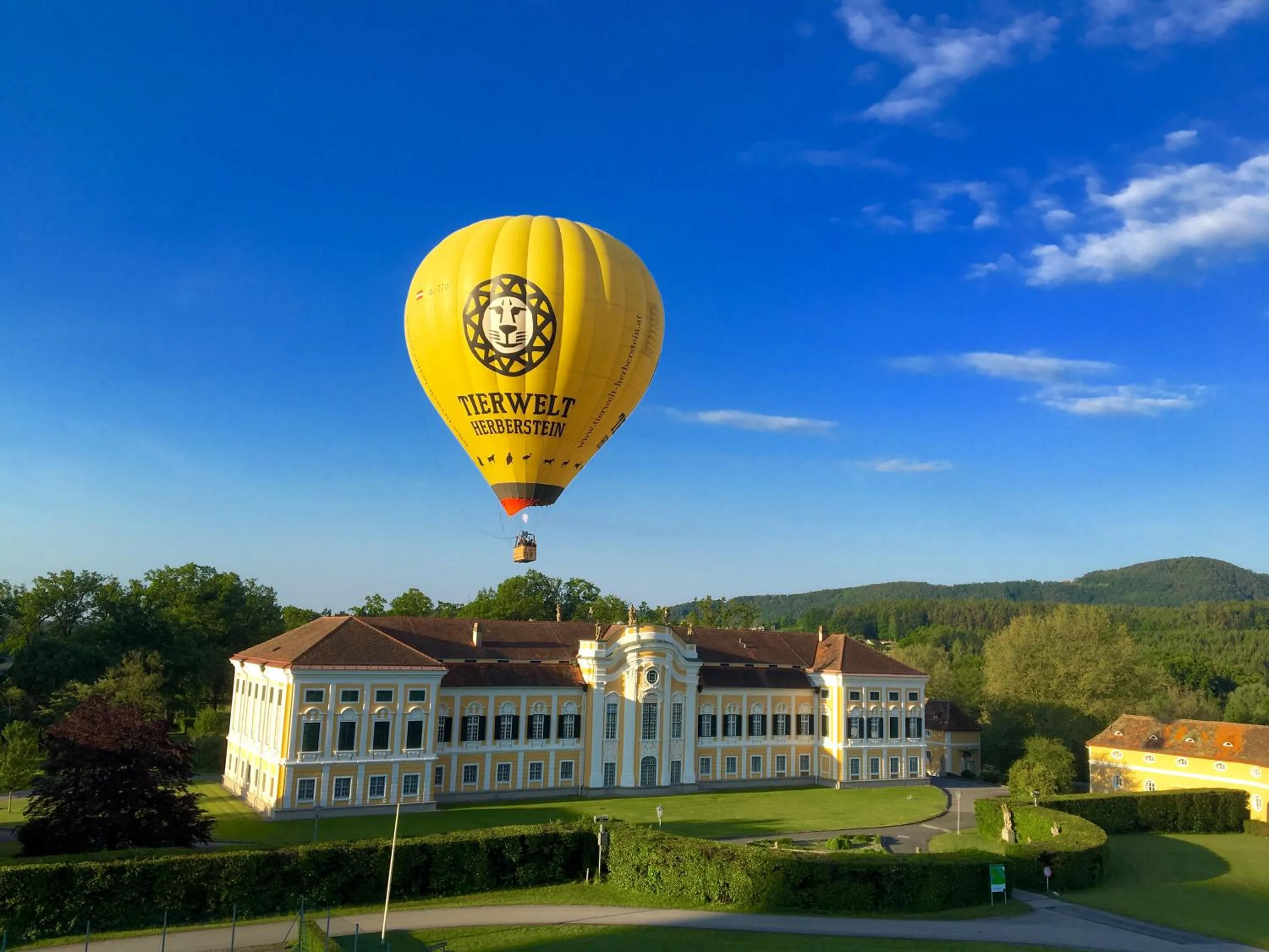Activities in Apfelwirt