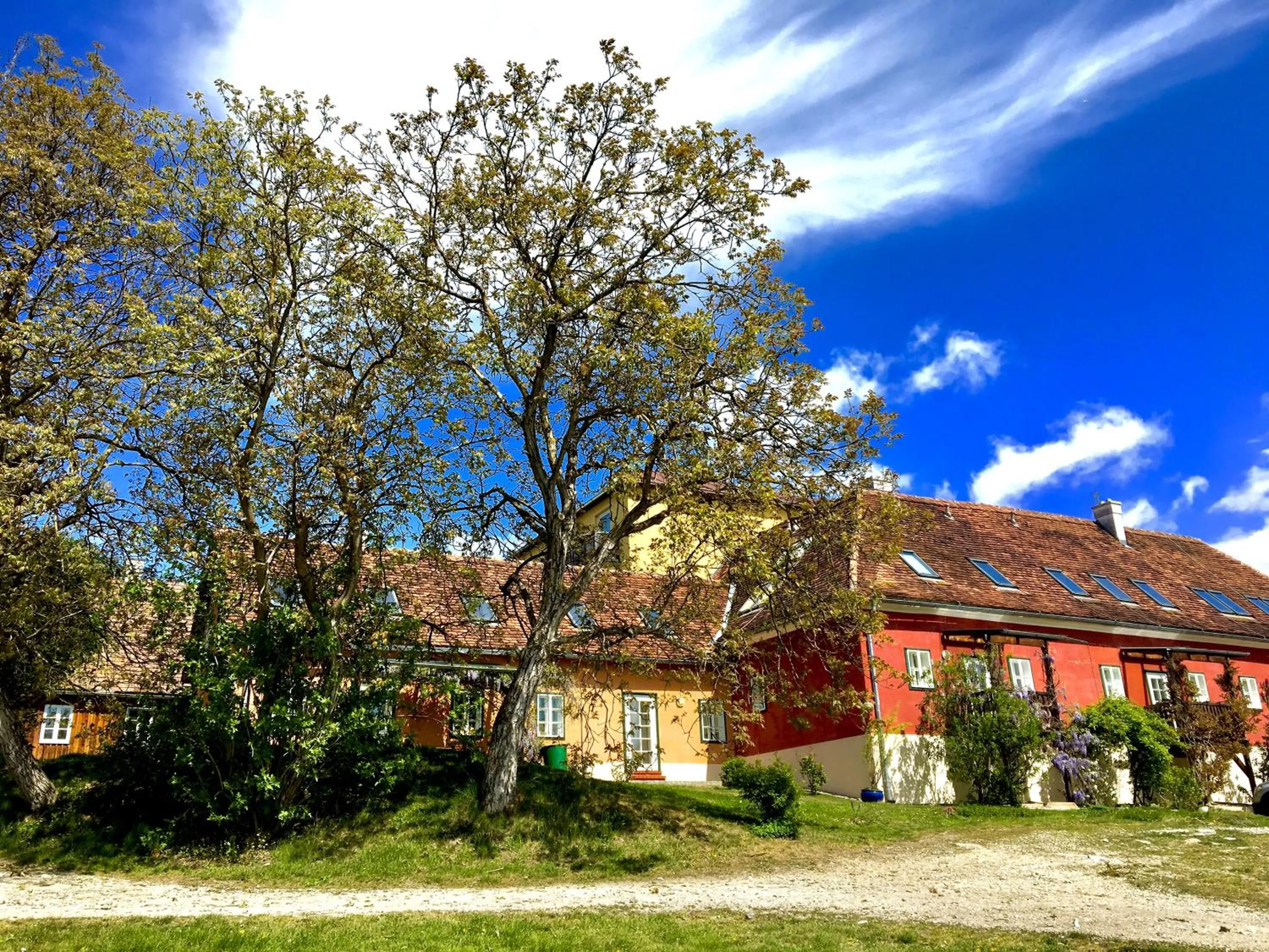 Property building in Apfelwirt
