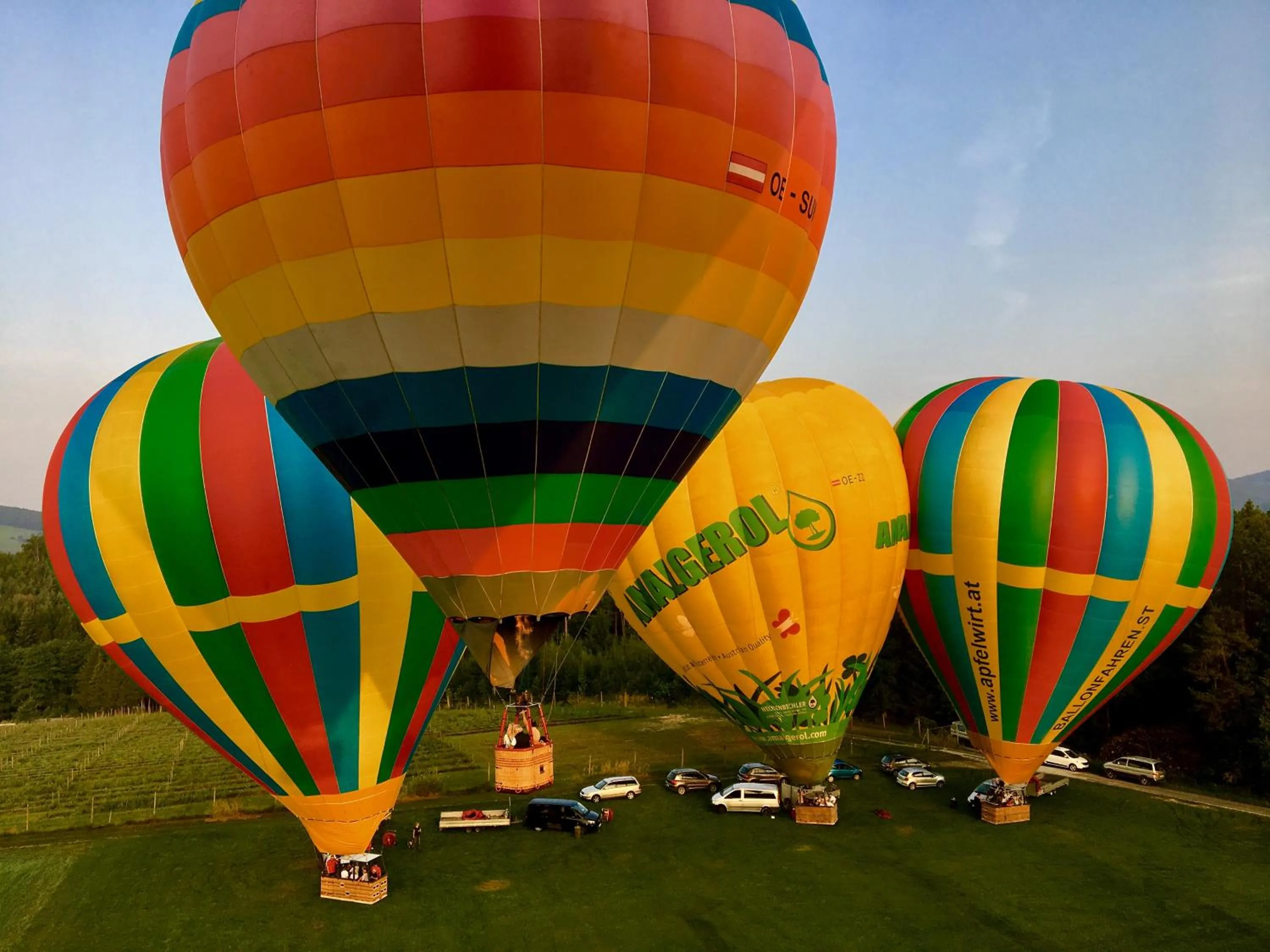 Activities in Apfelwirt