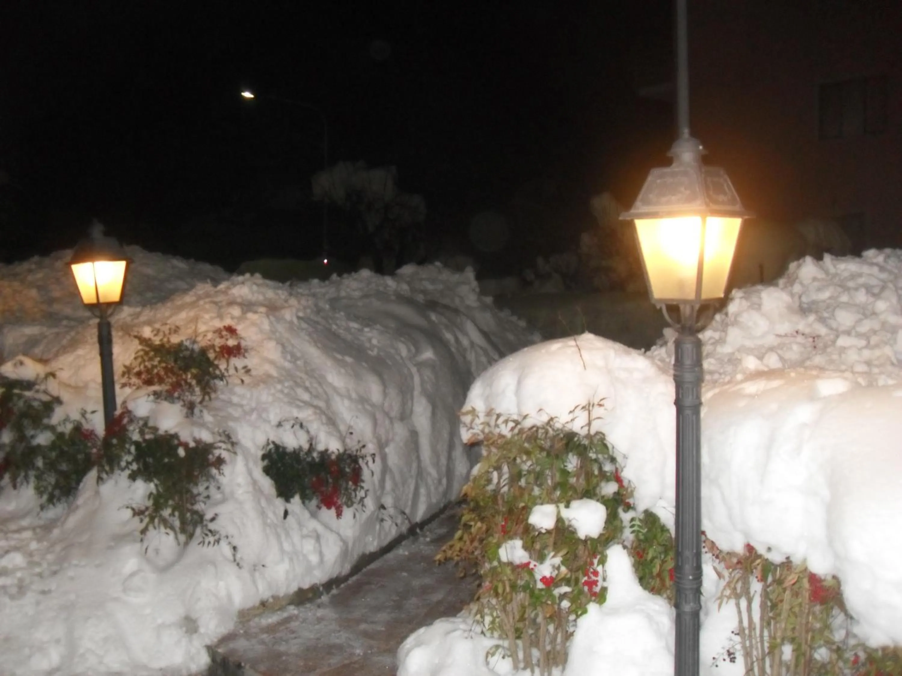 residence la collinetta