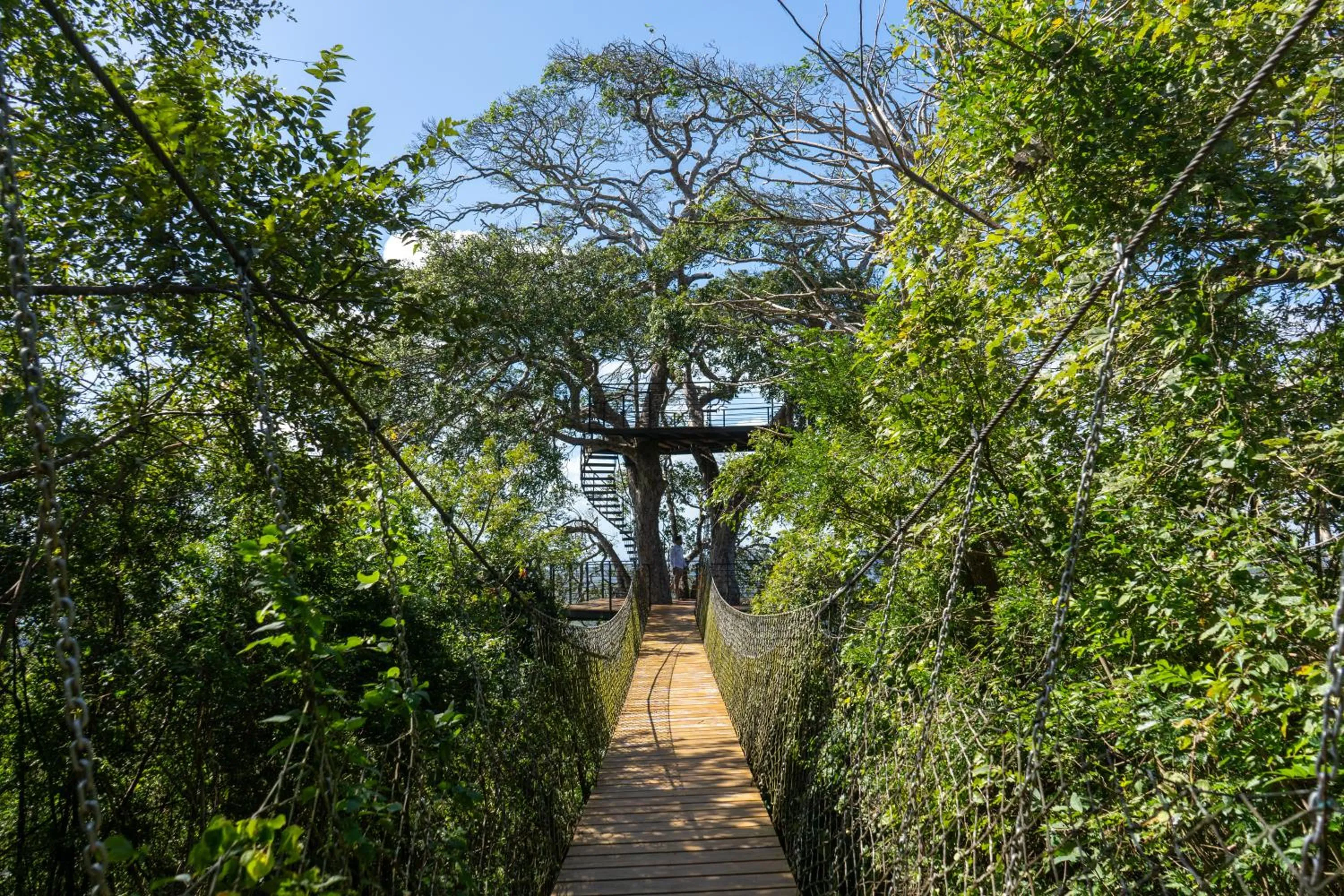 Natural landscape in TreeCasa Hotel & Resort Nicaragua
