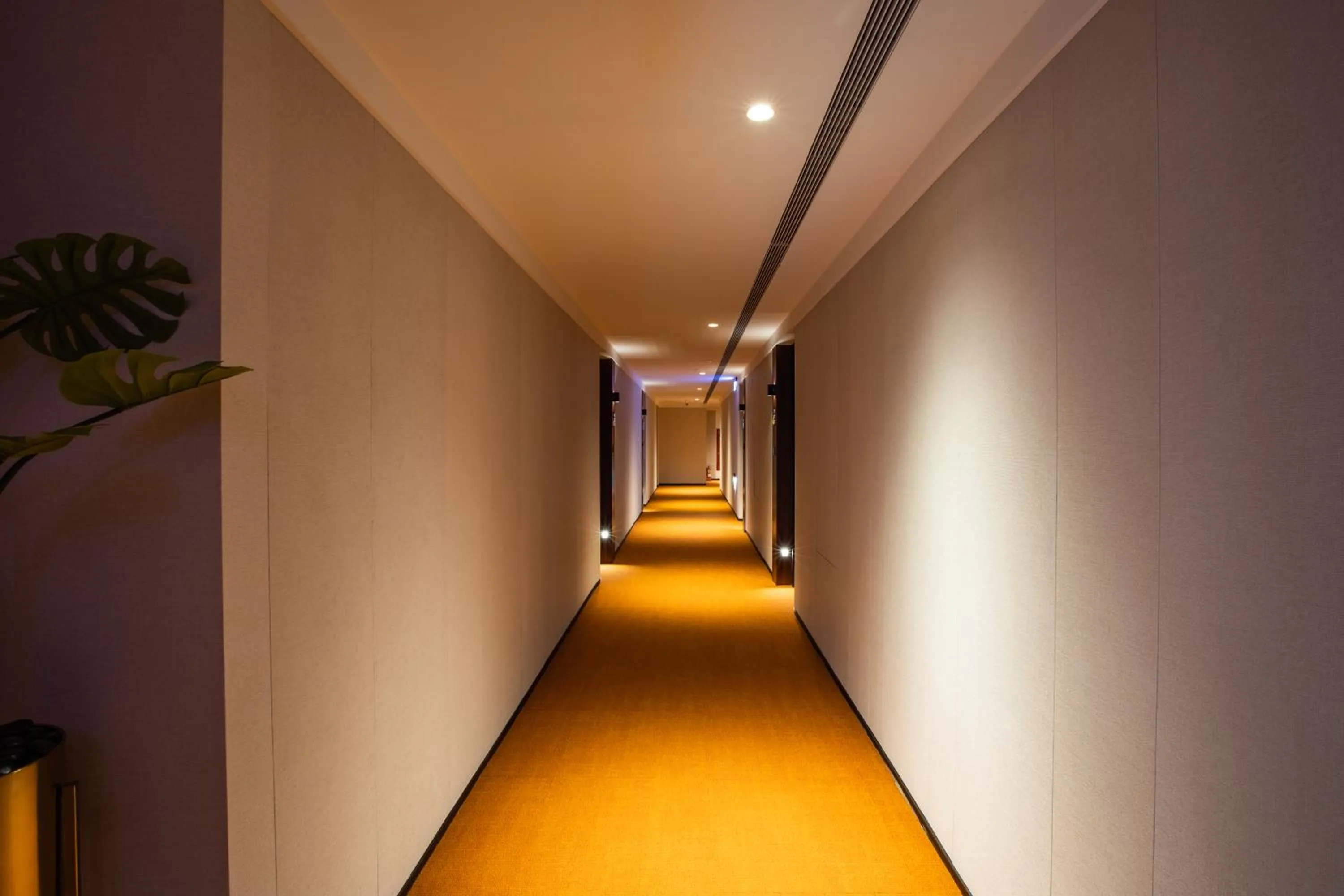 On site in Mega Hotel