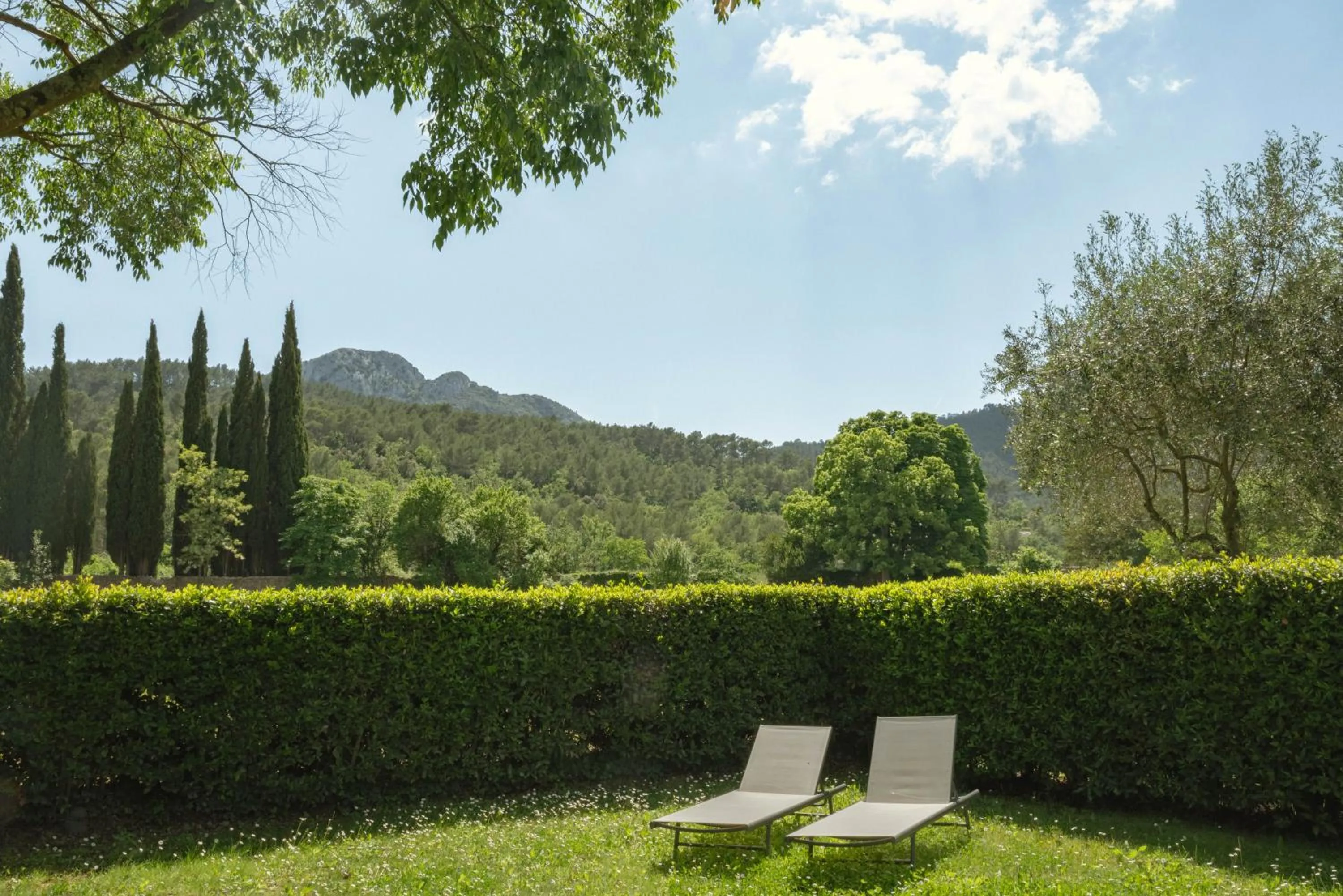 Garden in Hostellerie De L'abbaye De La Celle - Teritoria