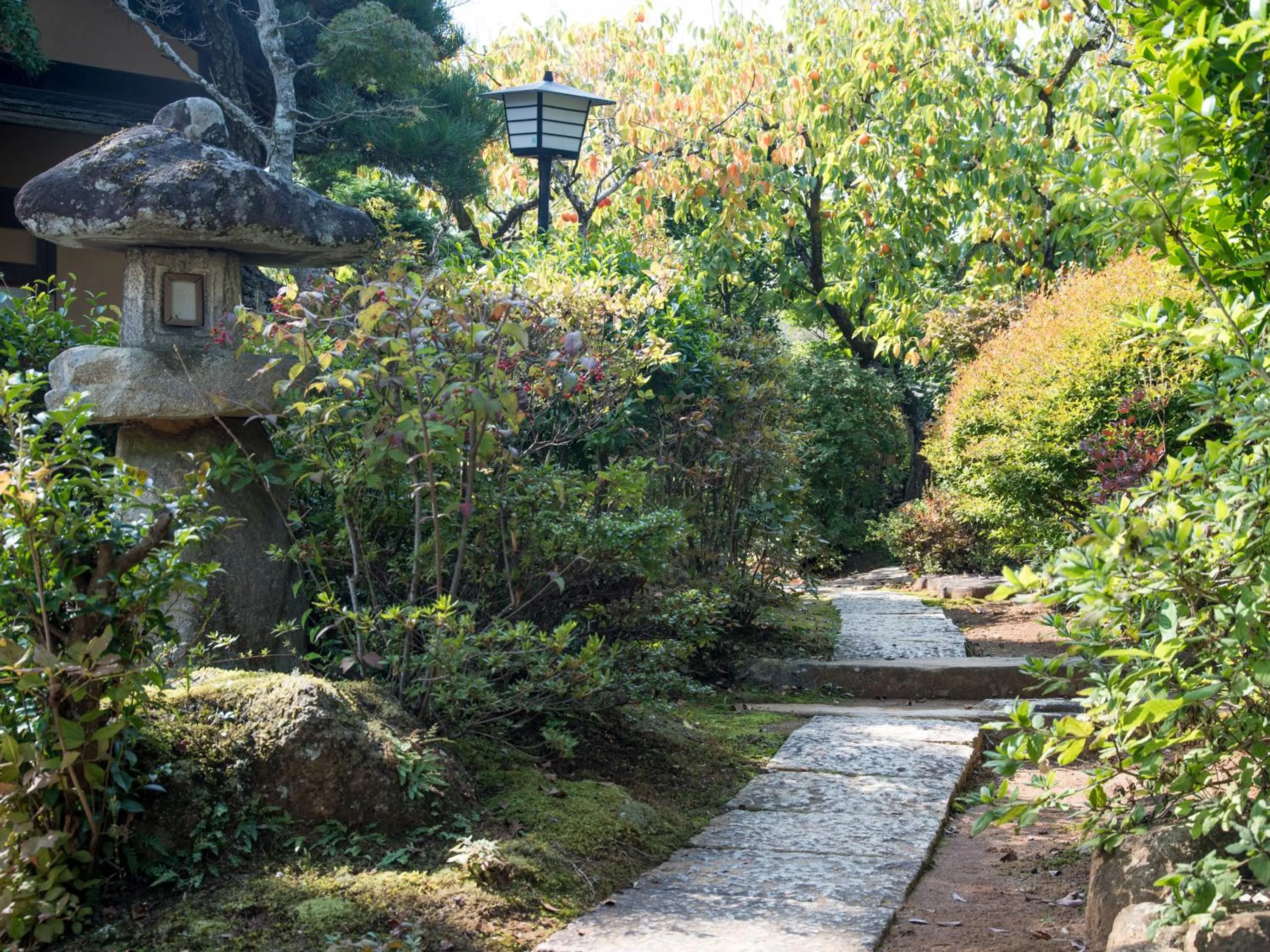 Garden in Nagataki