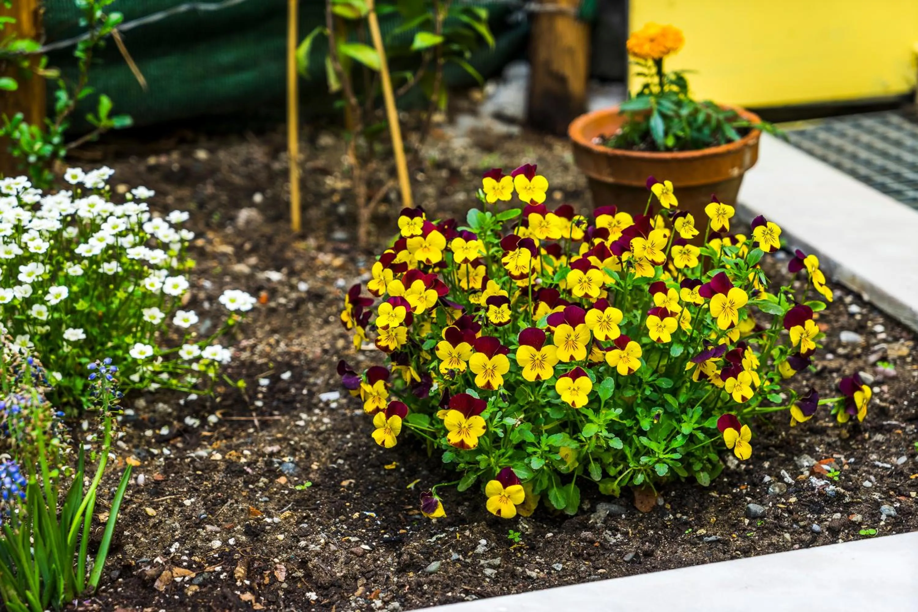 Garden in Le Bijou Luxury Rooms & Suites