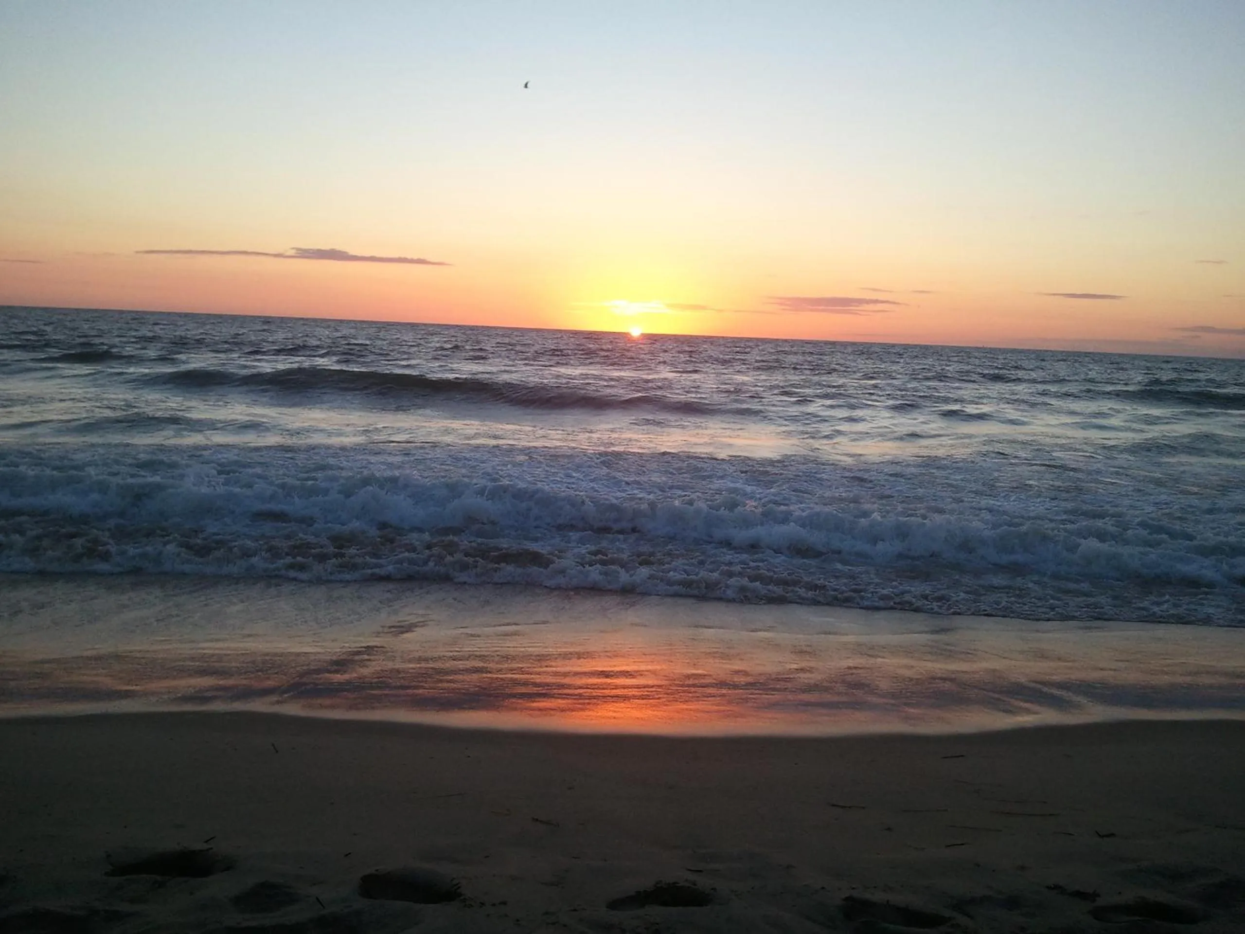 Beach in The Barclay Towers Hotel and Resort