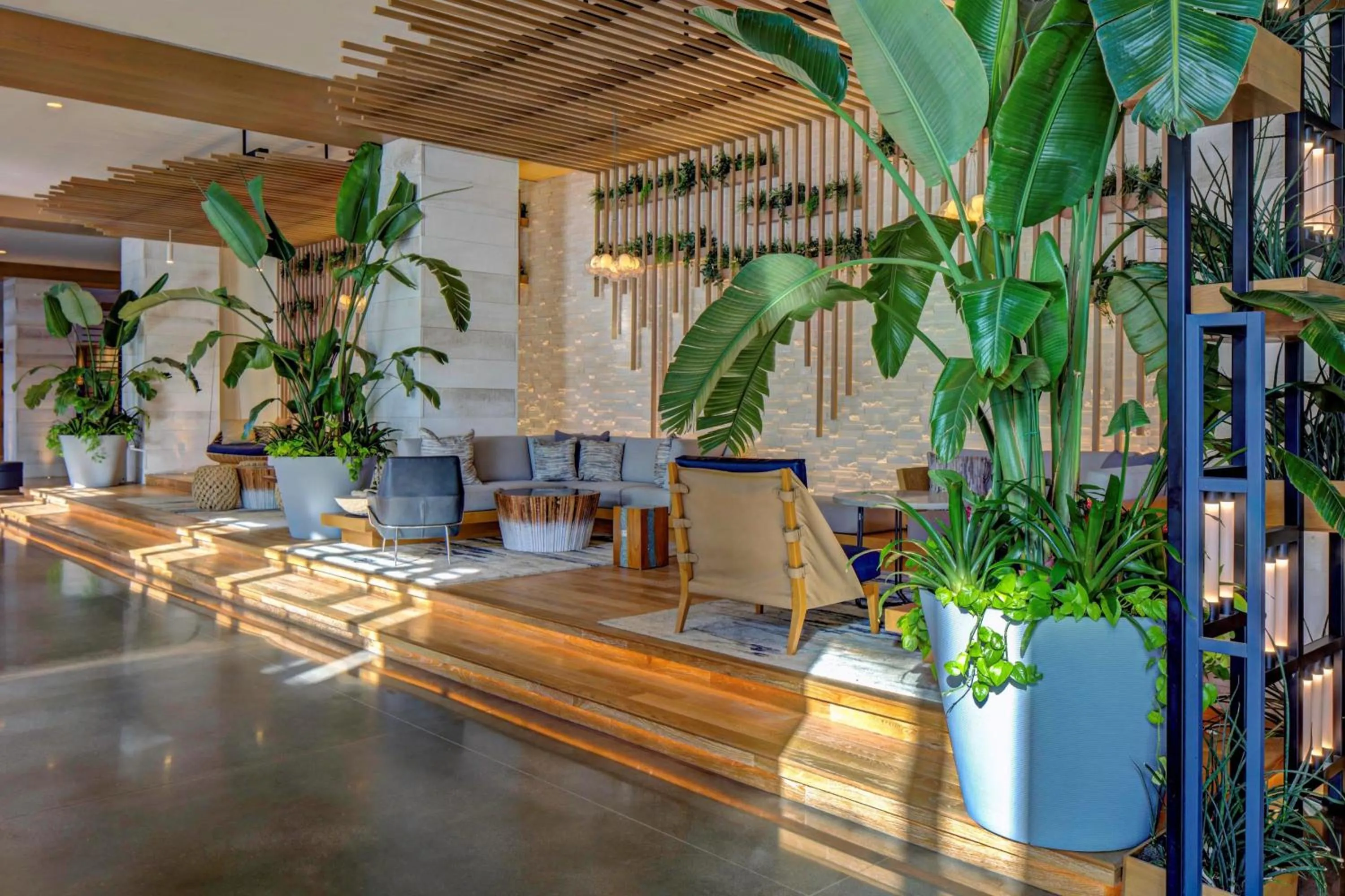 Lobby or reception in Marriott Virginia Beach Oceanfront Resort