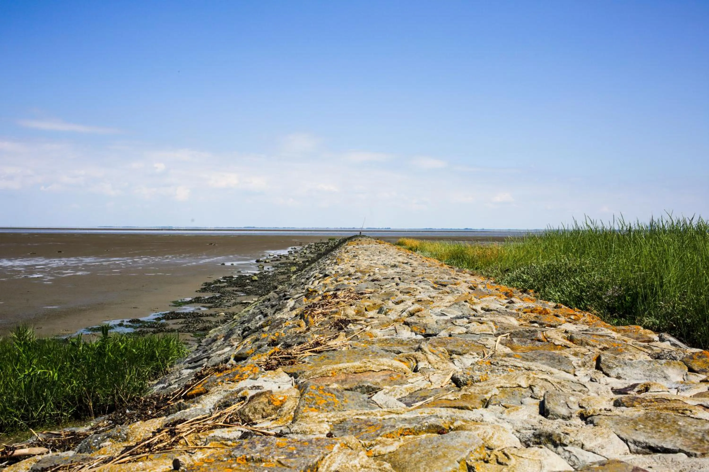 Natural landscape in Butjadinger Hof
