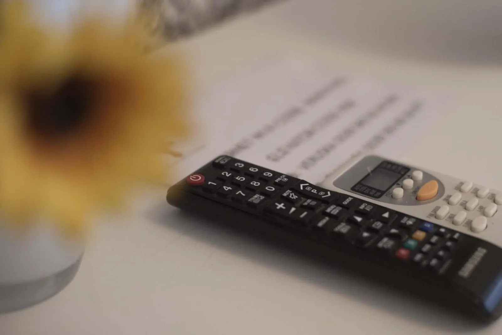 Meeting/conference room in Barberini Dream