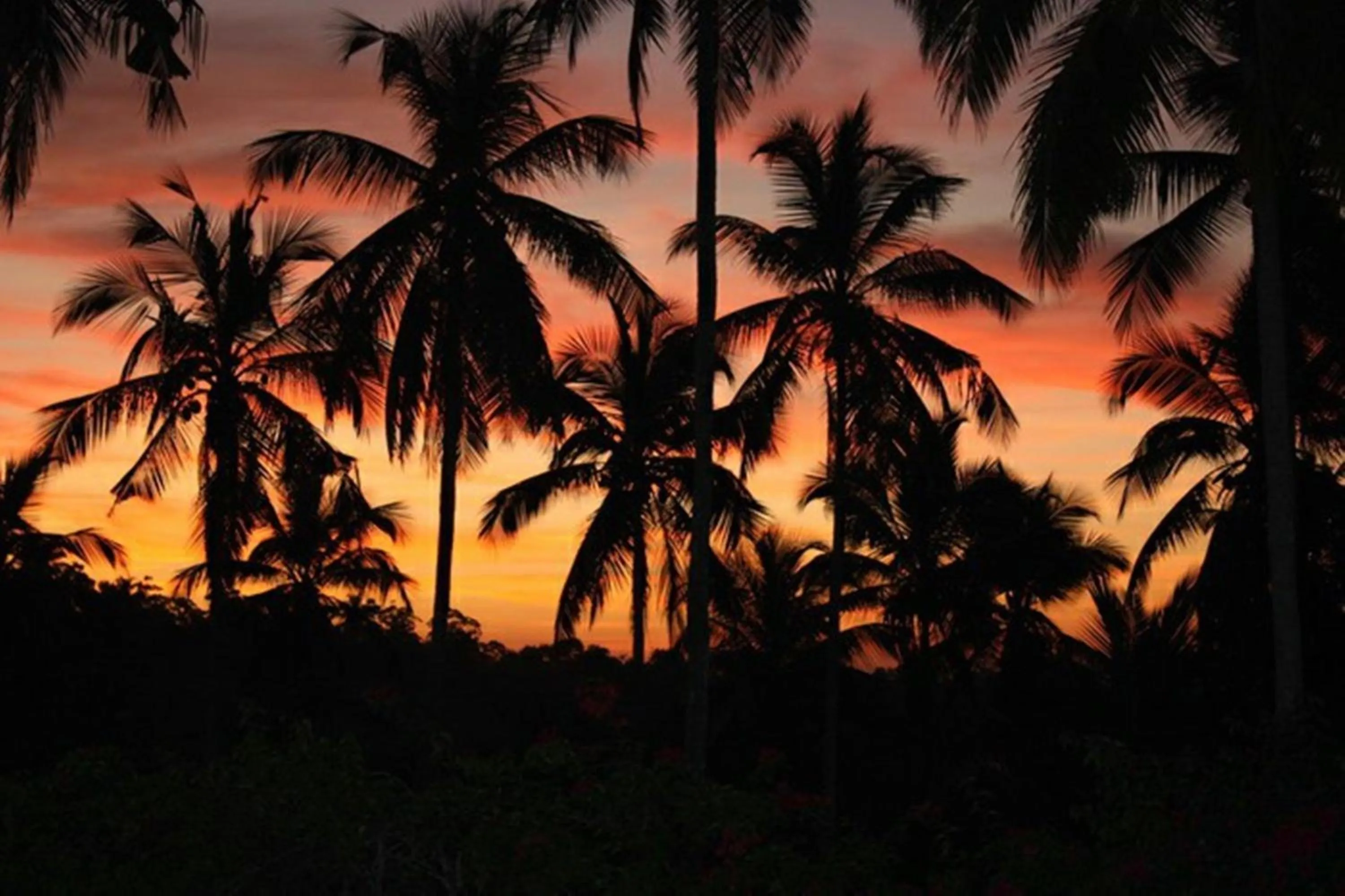 Natural landscape in The Hilltop Boosa