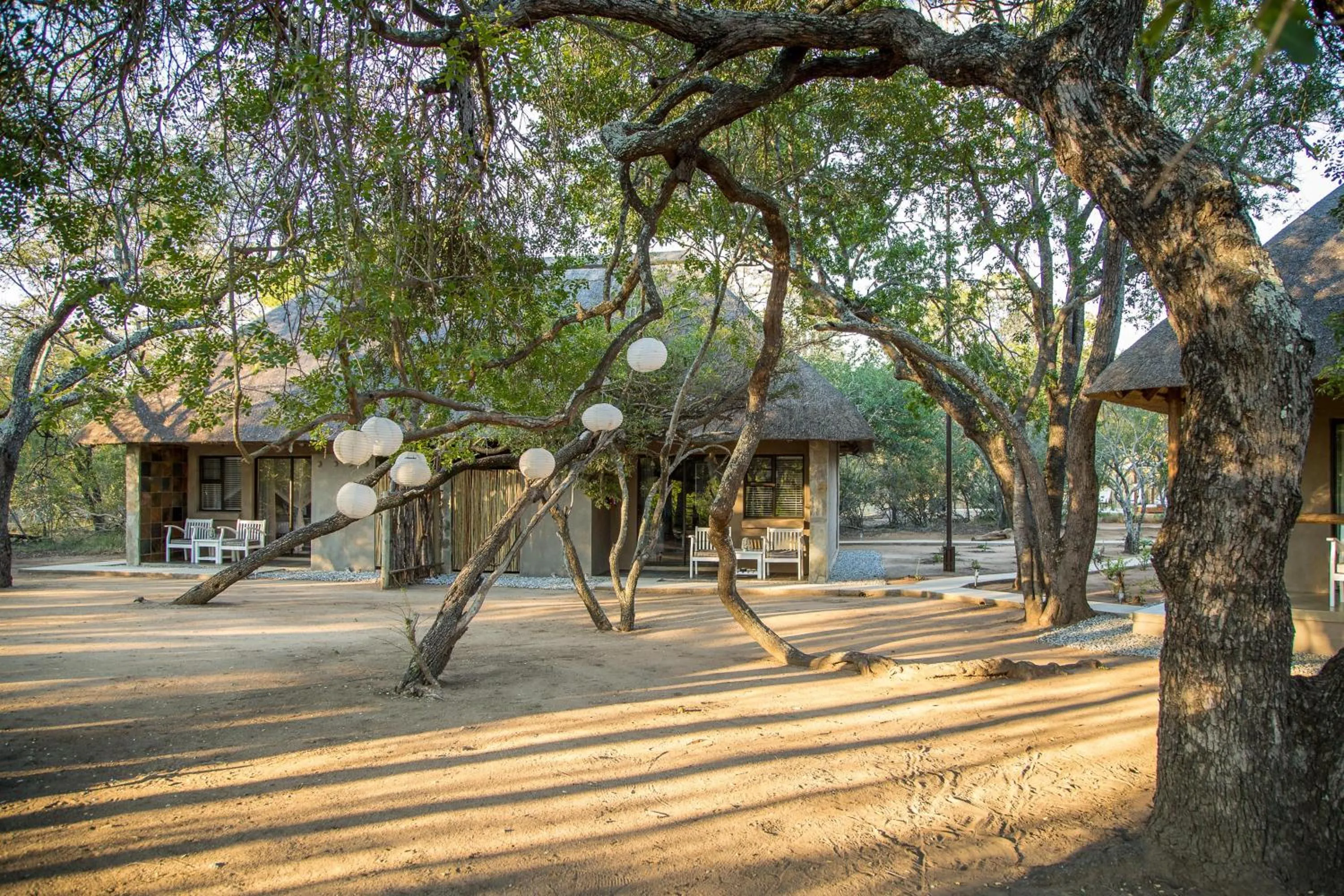 Garden in Bushbaby River Lodge