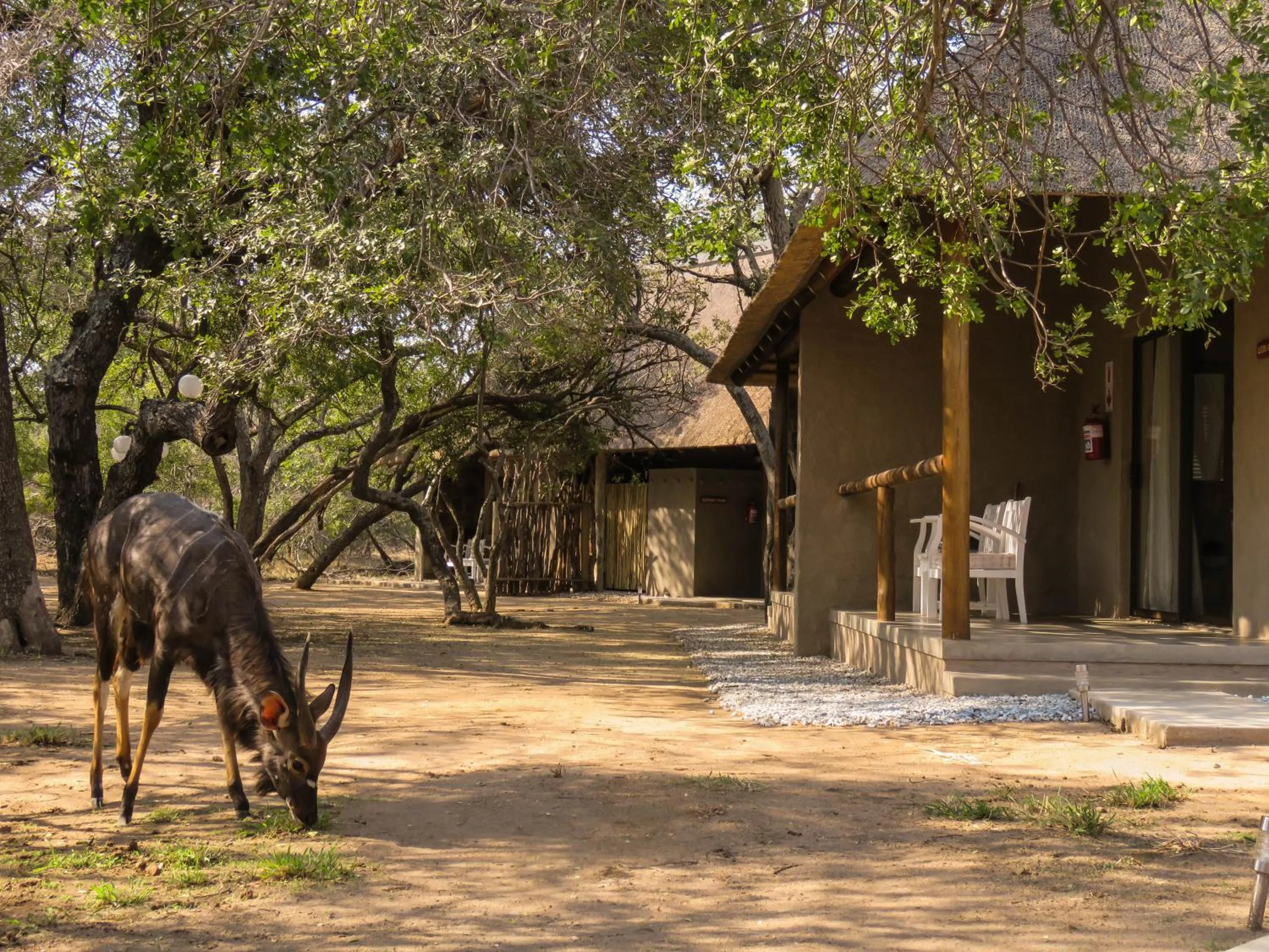 Patio in Bushbaby River Lodge