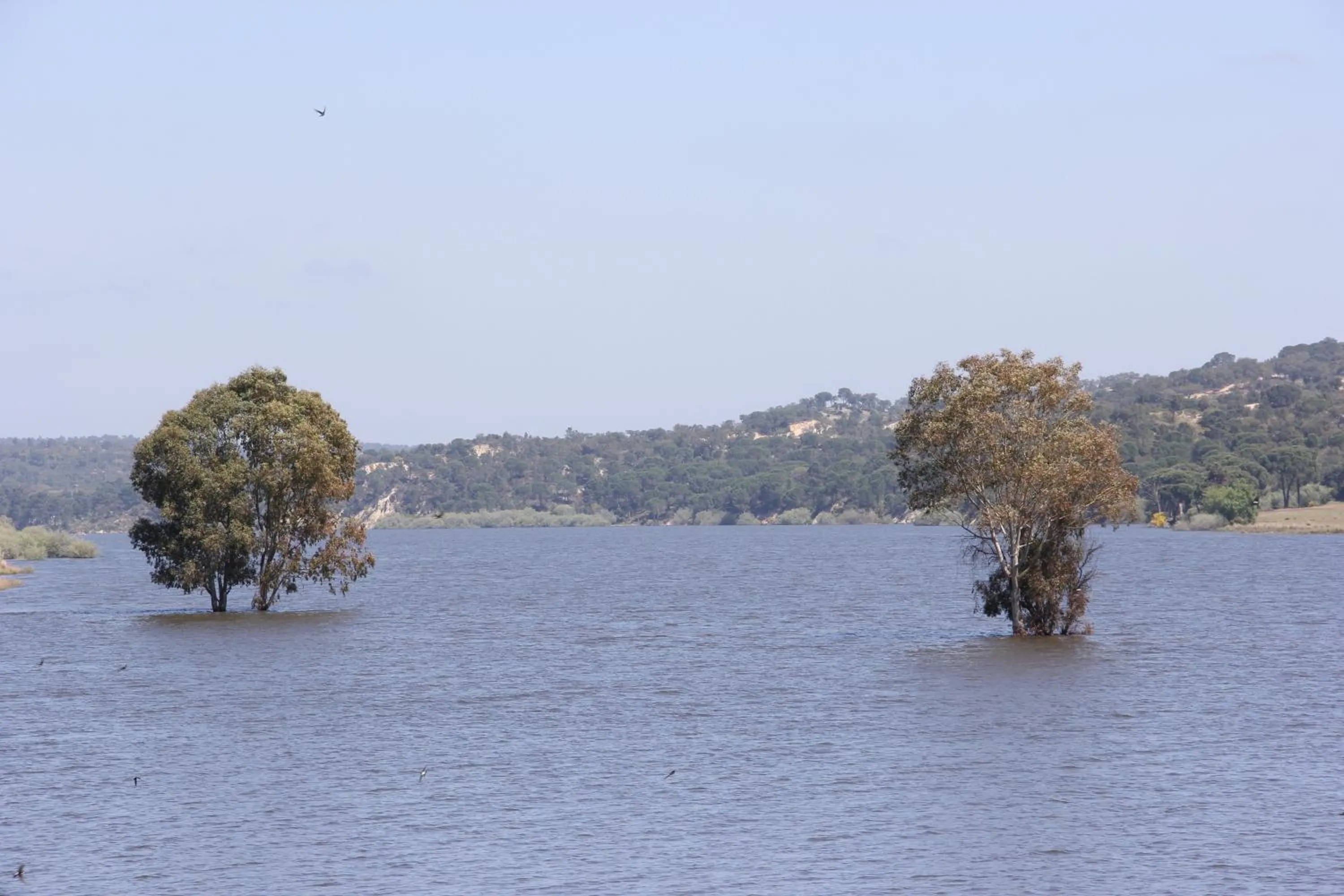 Other in Hotel Ponte Sor