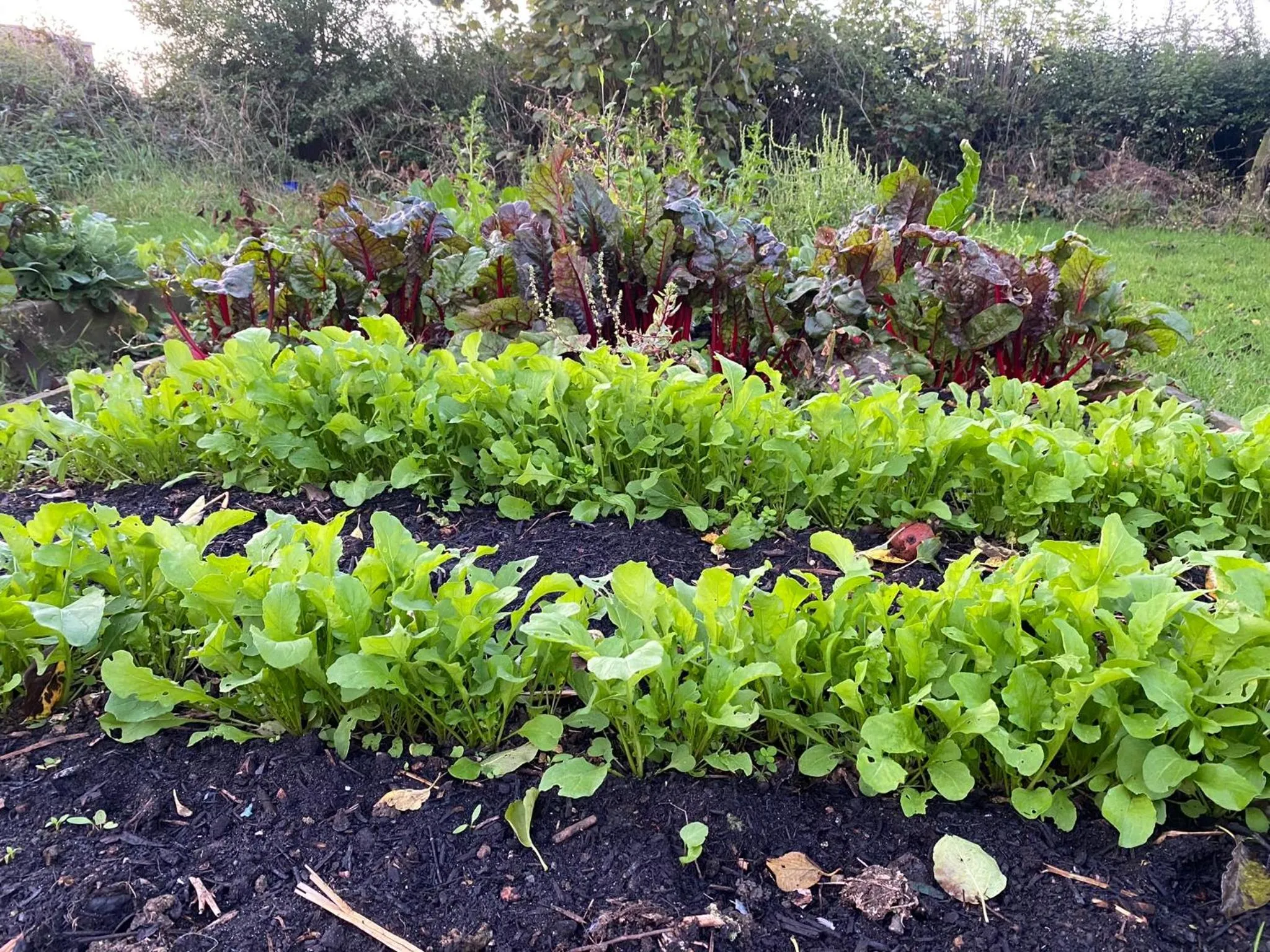 Mill Cottage - Ash Farm Cotswolds