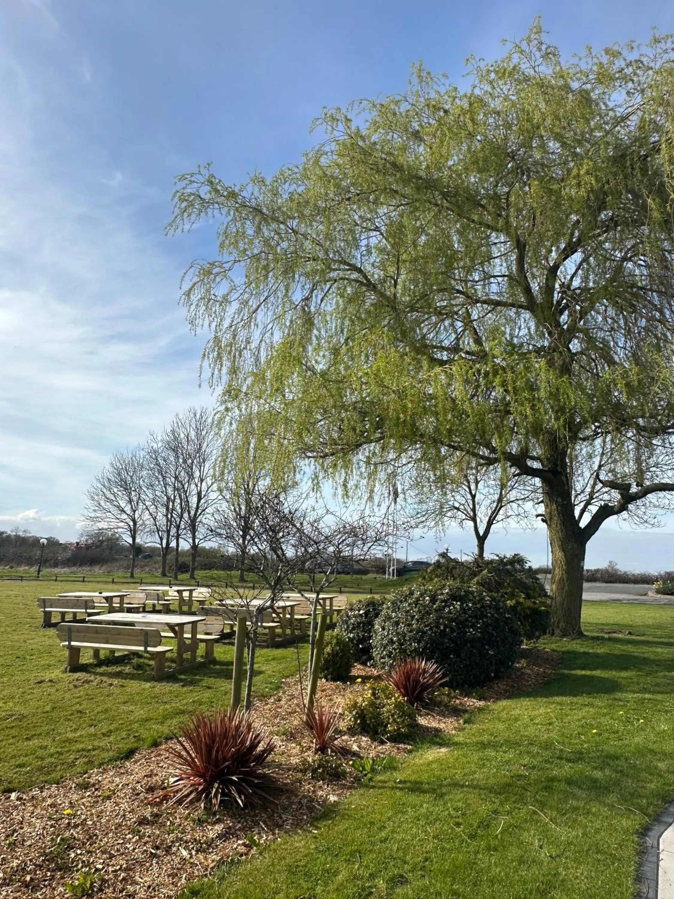View (from property/room) in Hotel Wrexham