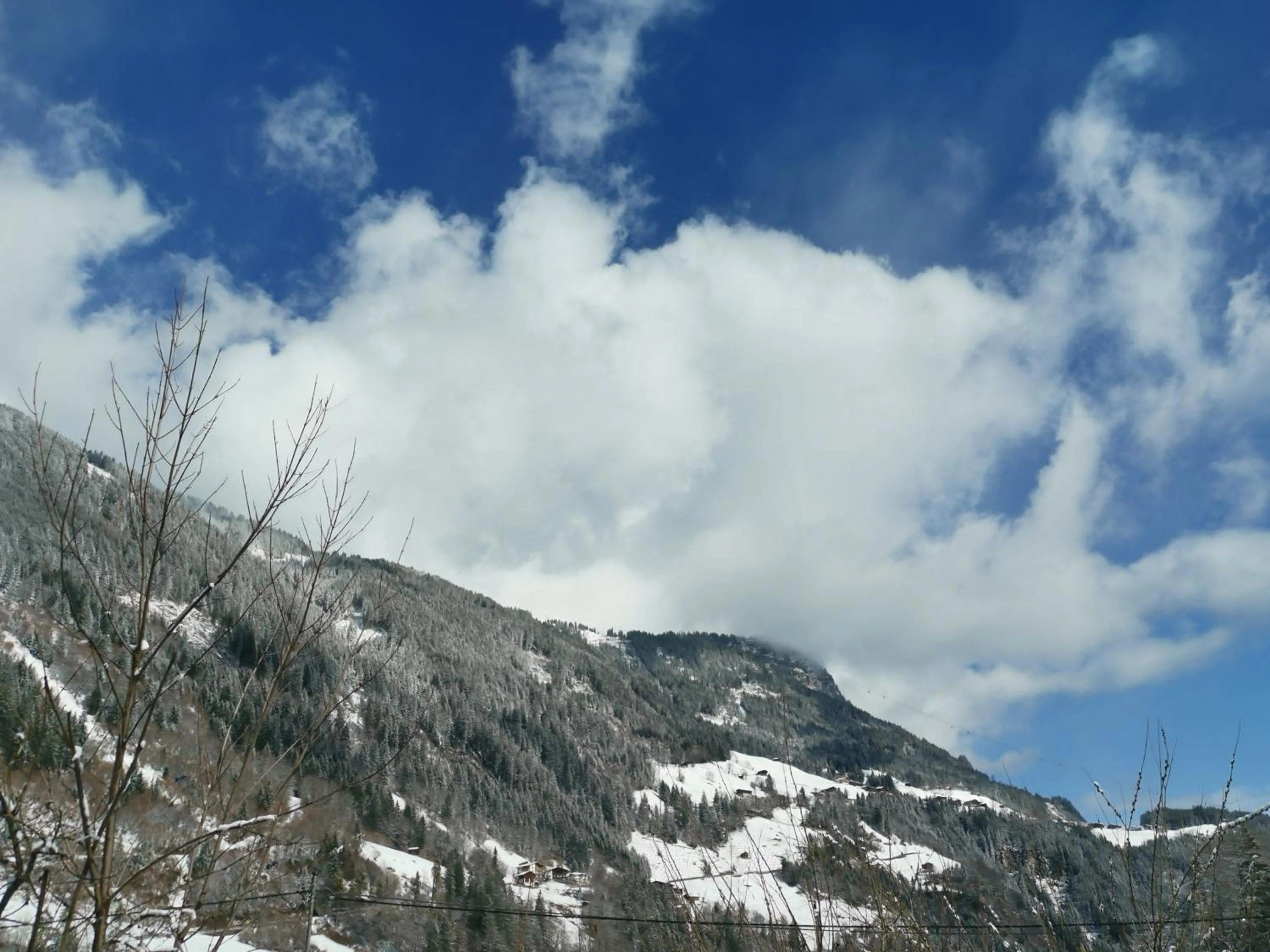 Appartement Geisler