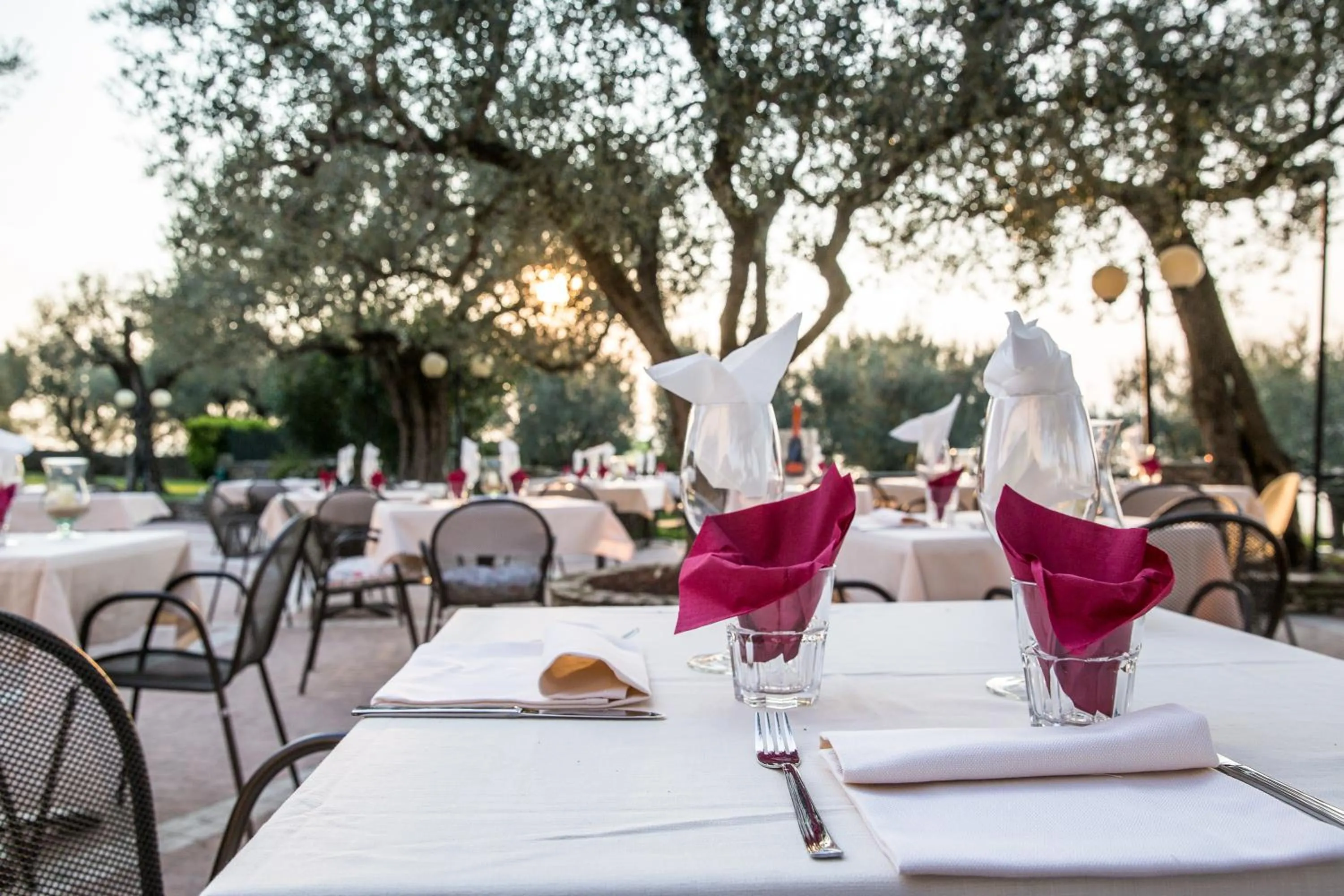 Restaurant/places to eat in Hotel Ideal