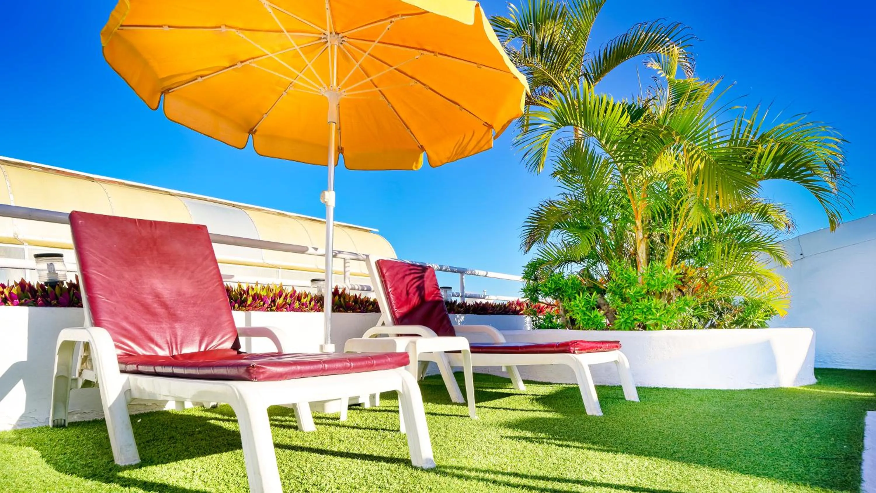 sunbed in Bull Astoria