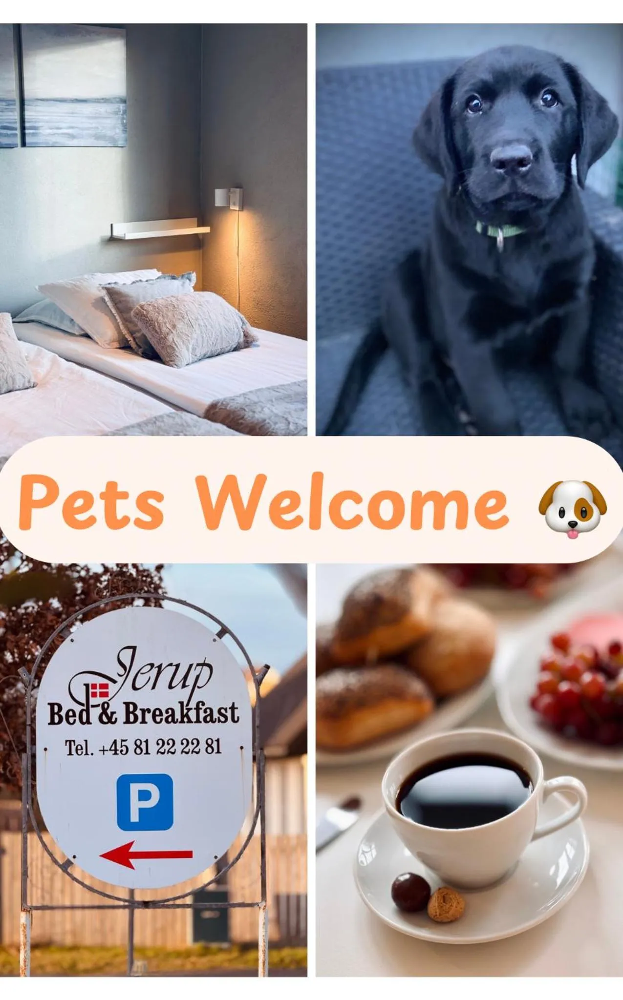 Property logo or sign in Jerup Bed & Breakfast